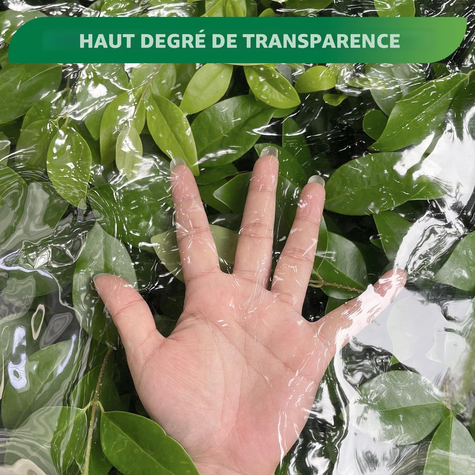 Dulepax Bâche Transparente avec Oeillets pour Exterieur 450 g/m² Imperméable Bâche de Protection pour Pergola,Serre,poulailler,Piscine (3x4m)