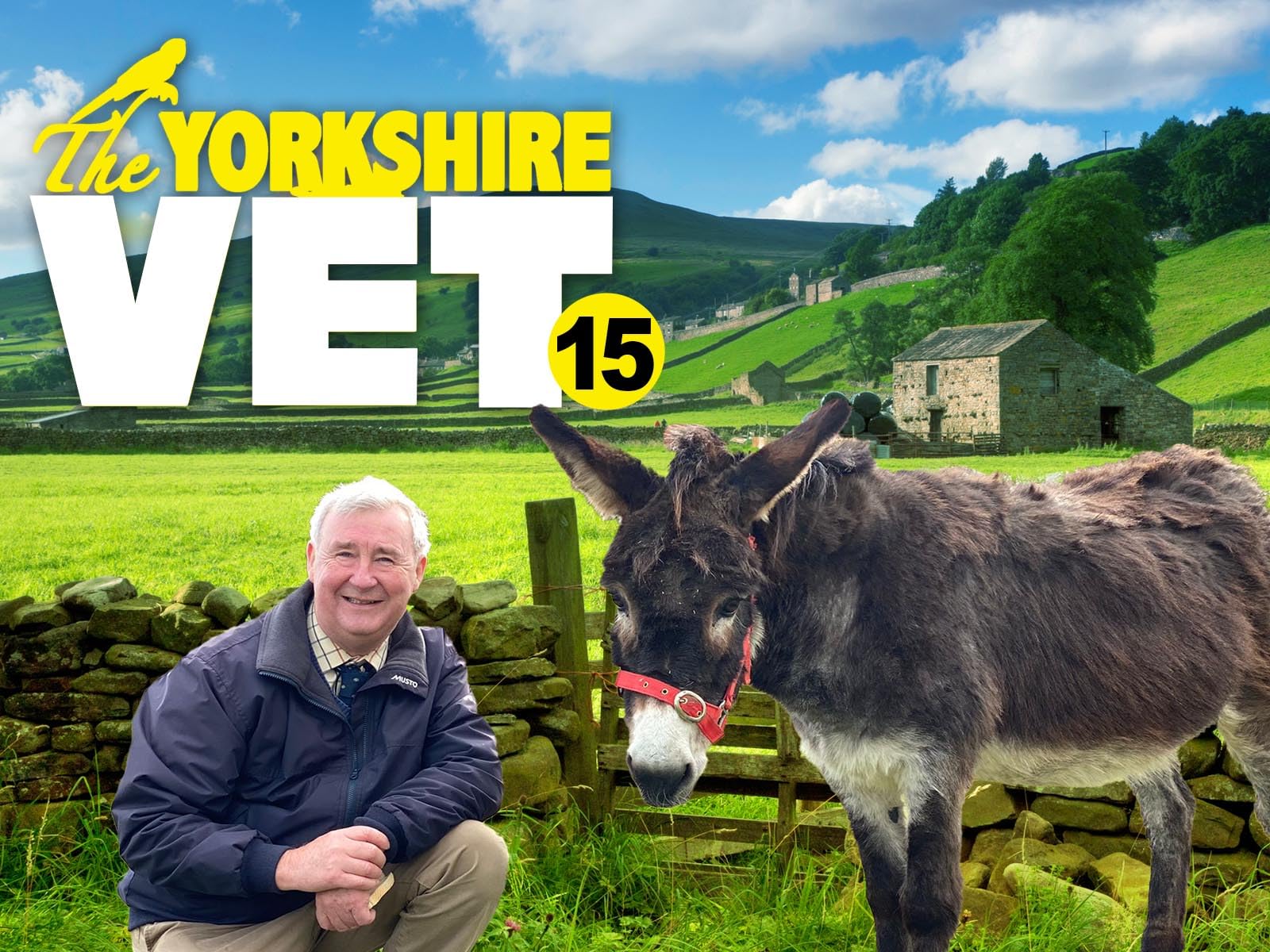 The Yorkshire Vet