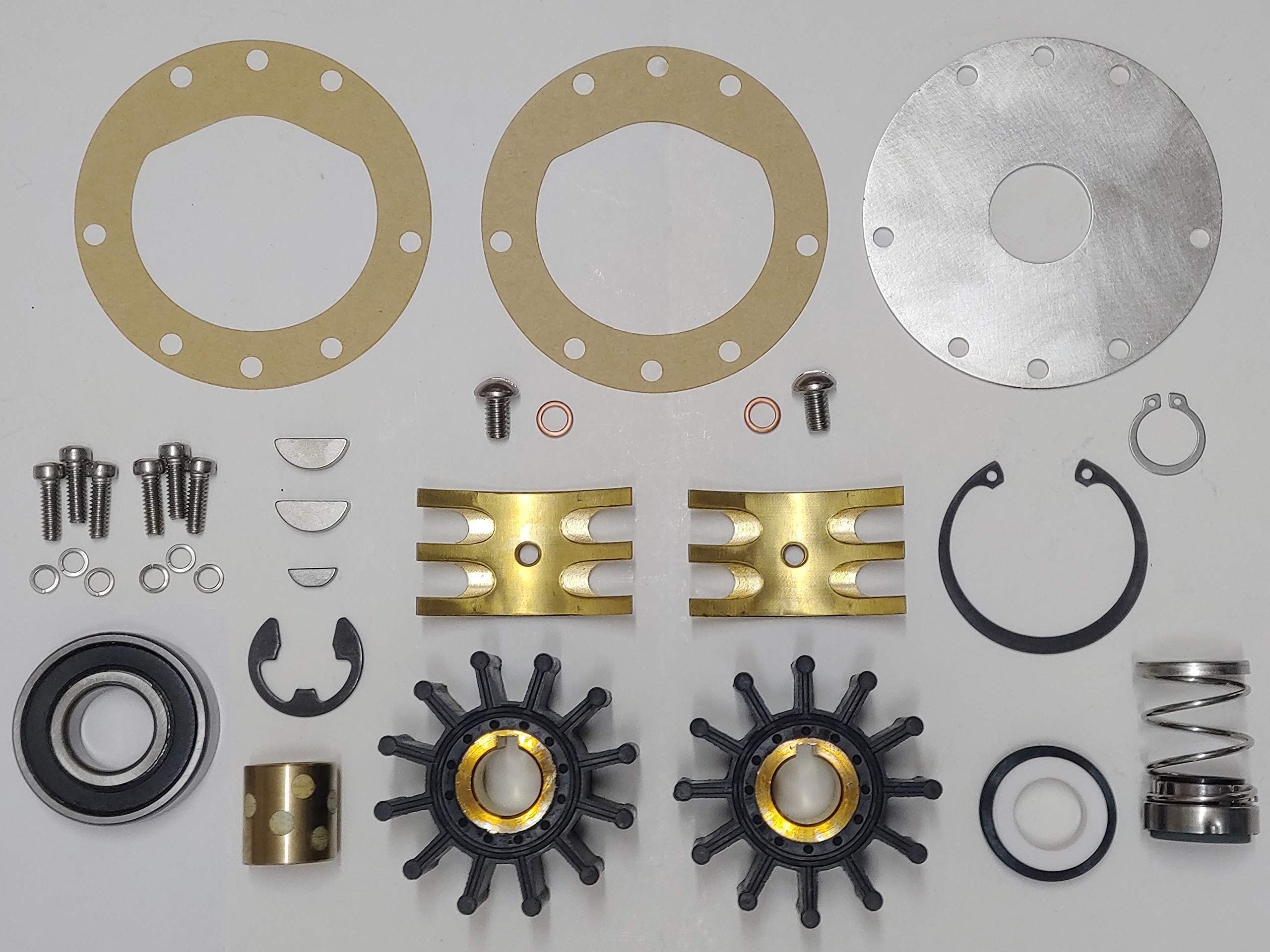 SCP-N10390G Dual Impeller Pump Major Repair Kit for Sherwood N10390G Q10855G R10935G