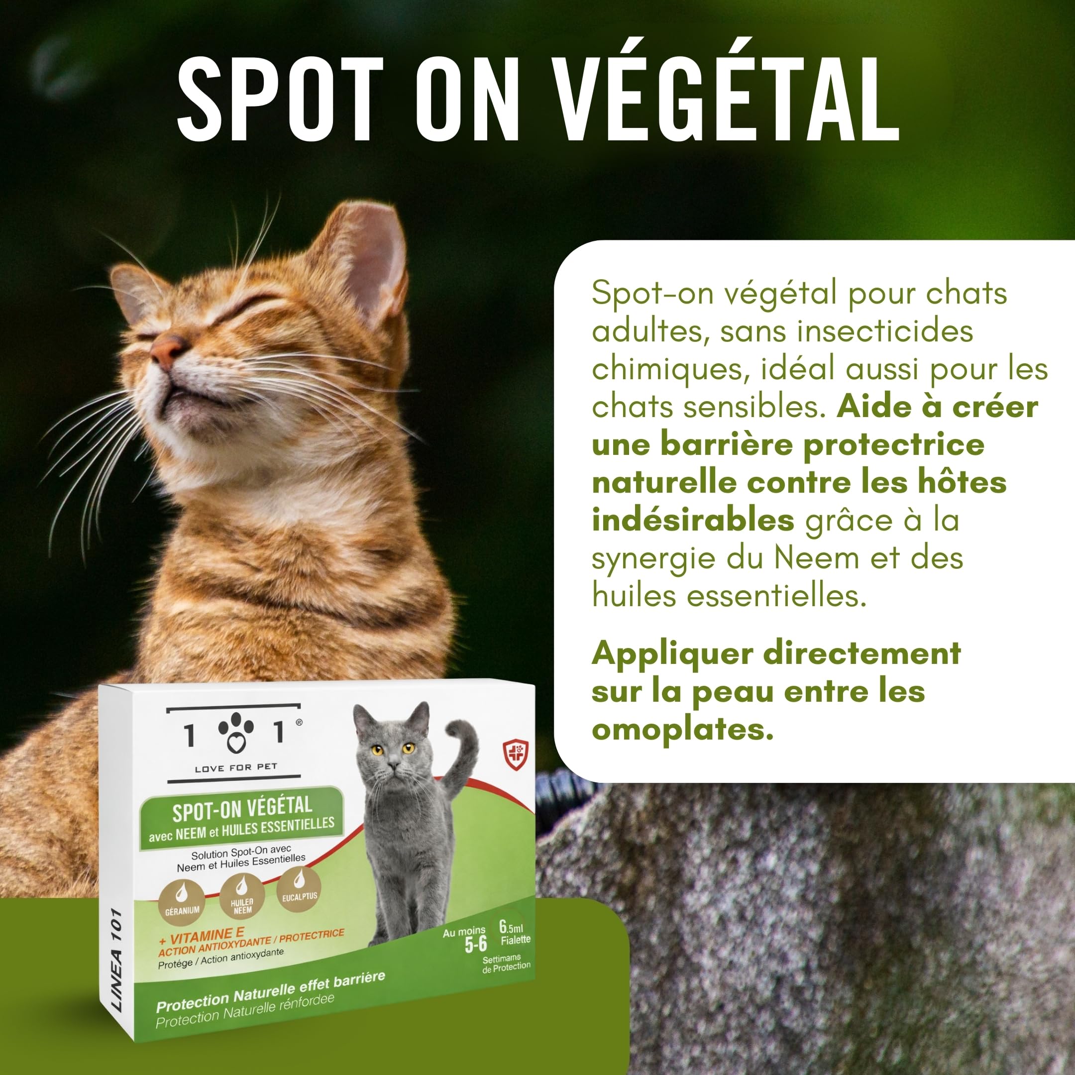 Pipette Chat Anti Puces et Tiques, Moustique 6 Ampoules de 0,5 ML Spot on Chatons et Adultes Traitement Anti Puce Chaton et Antiparasitaire Chat Naturel Application Facile, Longue Tenue Antipuce