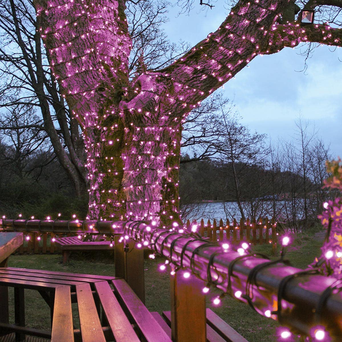 Festive Lights - ConnectPro Outdoor LED String Fairy Lights - Connectable - IP65 Rubber Black Cable | Wedding, Christmas, Garden, Commercial, Party (Pink w/Plug, 5m)