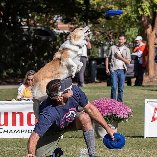 Foto 8 de 8 de Hyperflite Perros Disco volador Jawz Resistente a las mordidas para el Perro Pequeño AZUL
