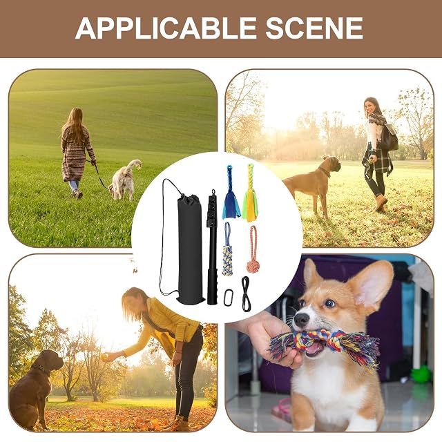 Foto 6 de 8 de Medium Dogs Flirt Pole - Interactive Dog Toy Teaser, Flirt Pole for Dogs