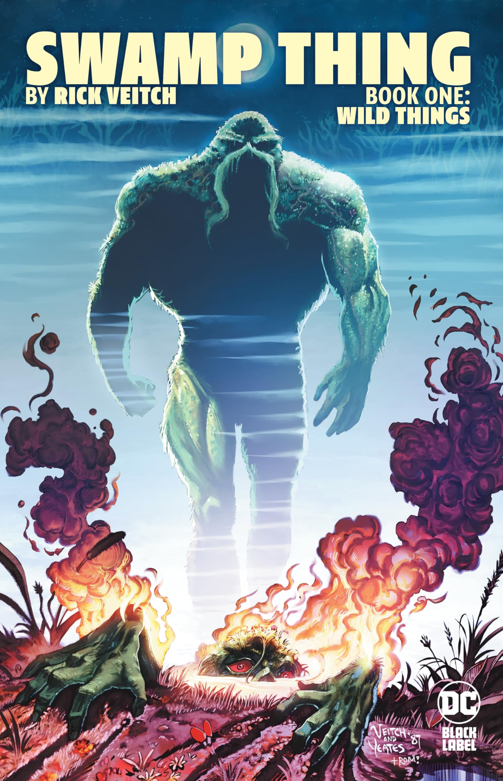 SWAMP THING VEITCH BK1