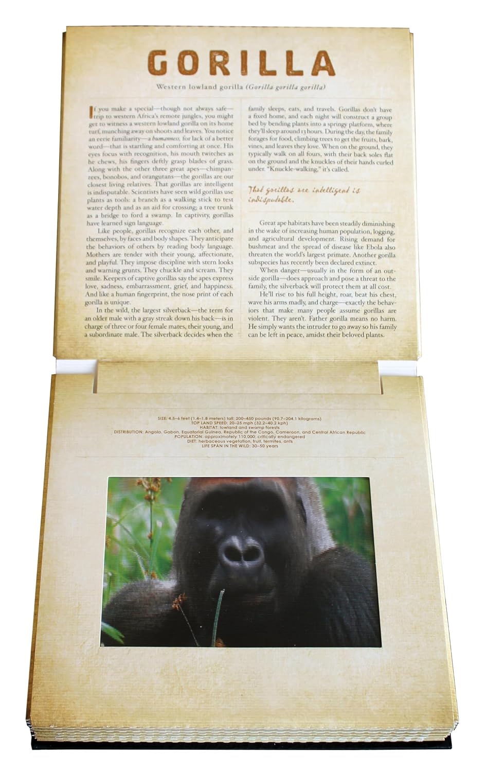 Safari: A Photicular Book