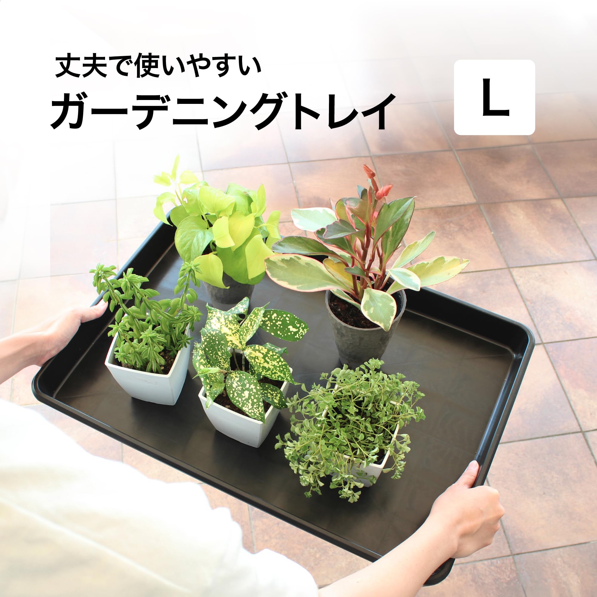 Amazon.co.jp: タカショー 園芸資材 ガーデニングトレイ L ブラック