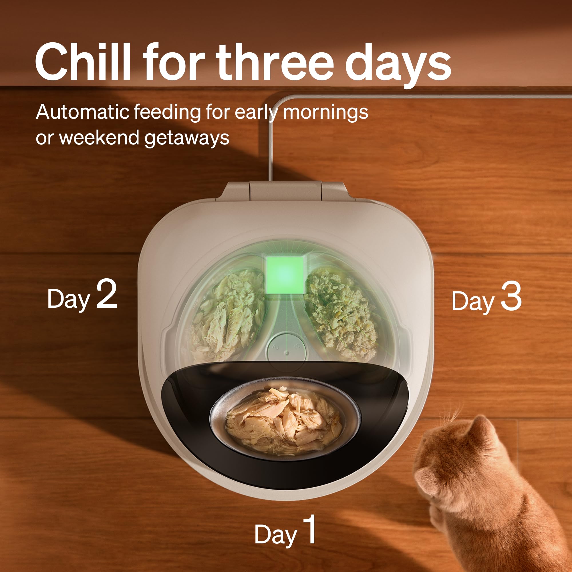 PETLIBRO Comedero automático húmedo para Gatos con refrigeración, dispensador de Alimentos para Gatos controlado por aplicación con refrigeración de semiconductores, 3 Comidas Frescas hasta 3 días
