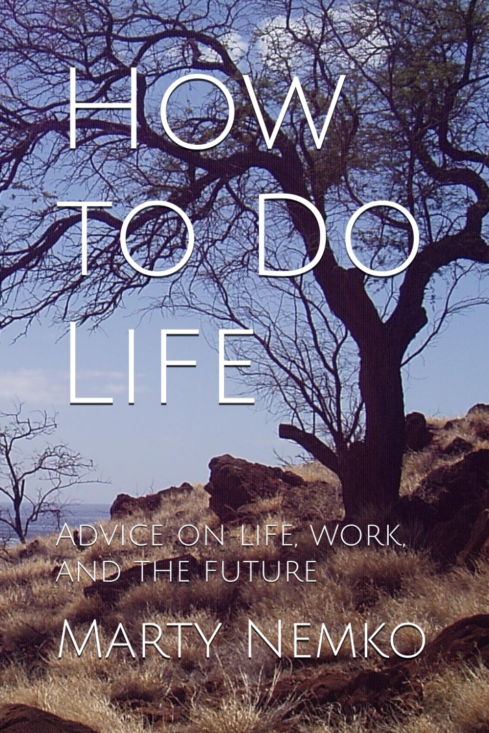 How to Do Life: Advice on life, work, and the future