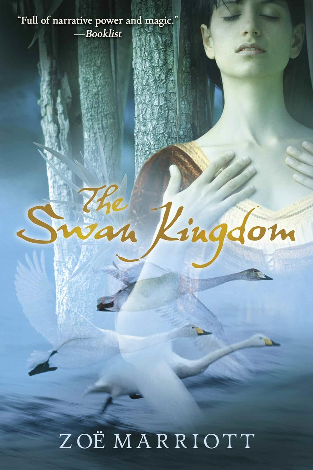 The Swan Kingdom      Kindle Edition