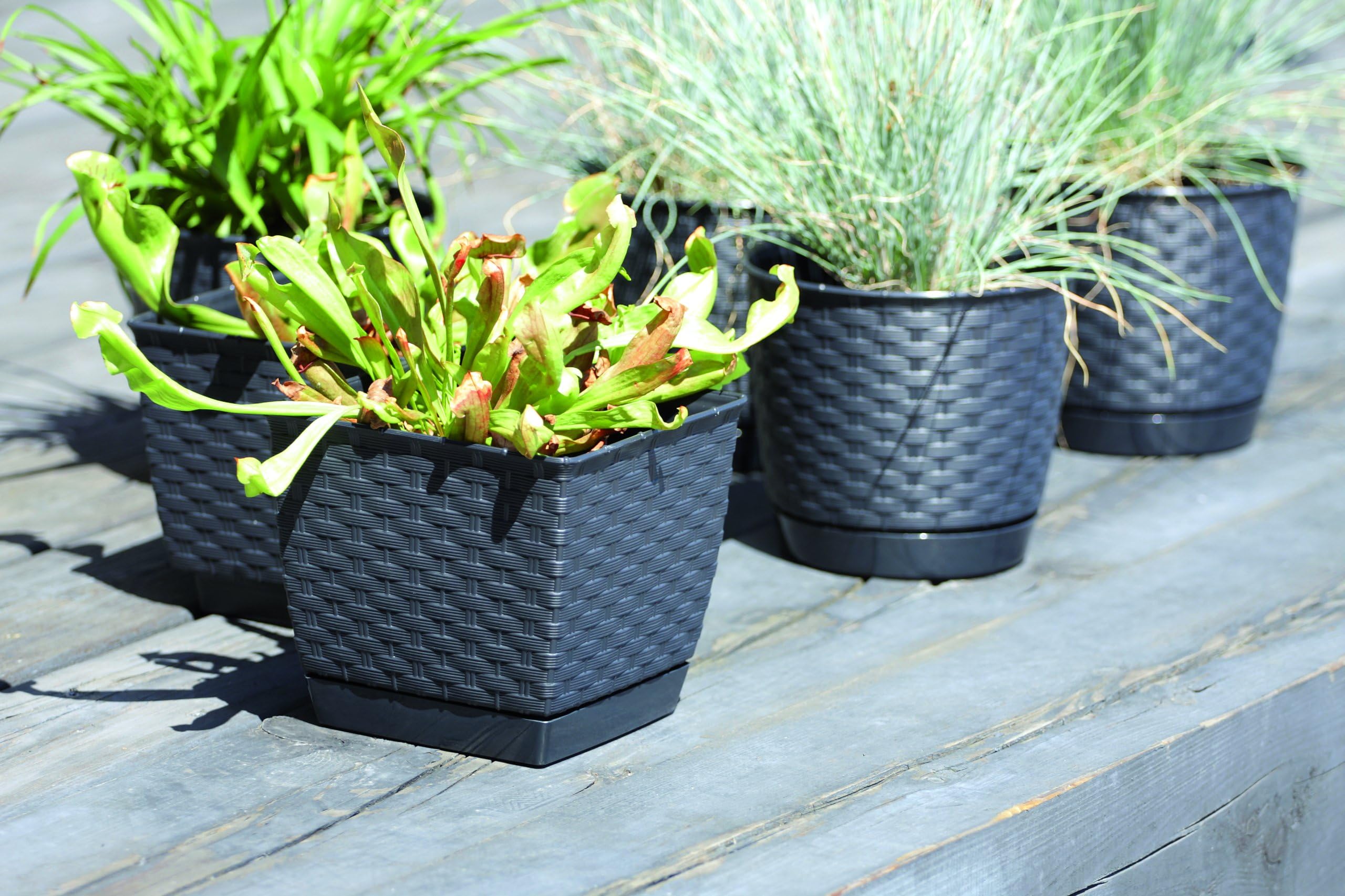 Prosperplast Vaso Square Batolla 8.2 Litri, Bianco, 25x25x22 Cm In Plastica Riciclata