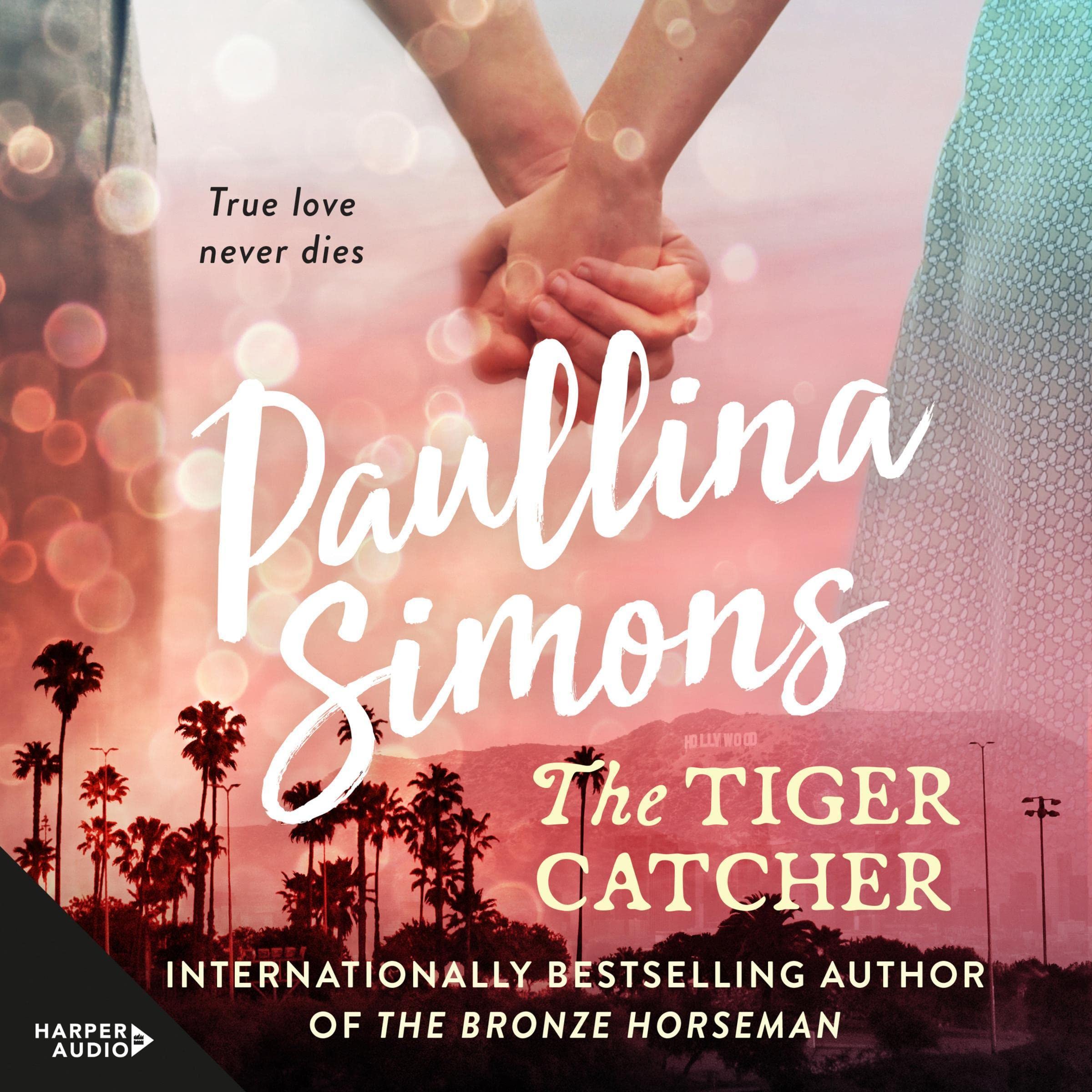 Cover art for The Tiger Catcher