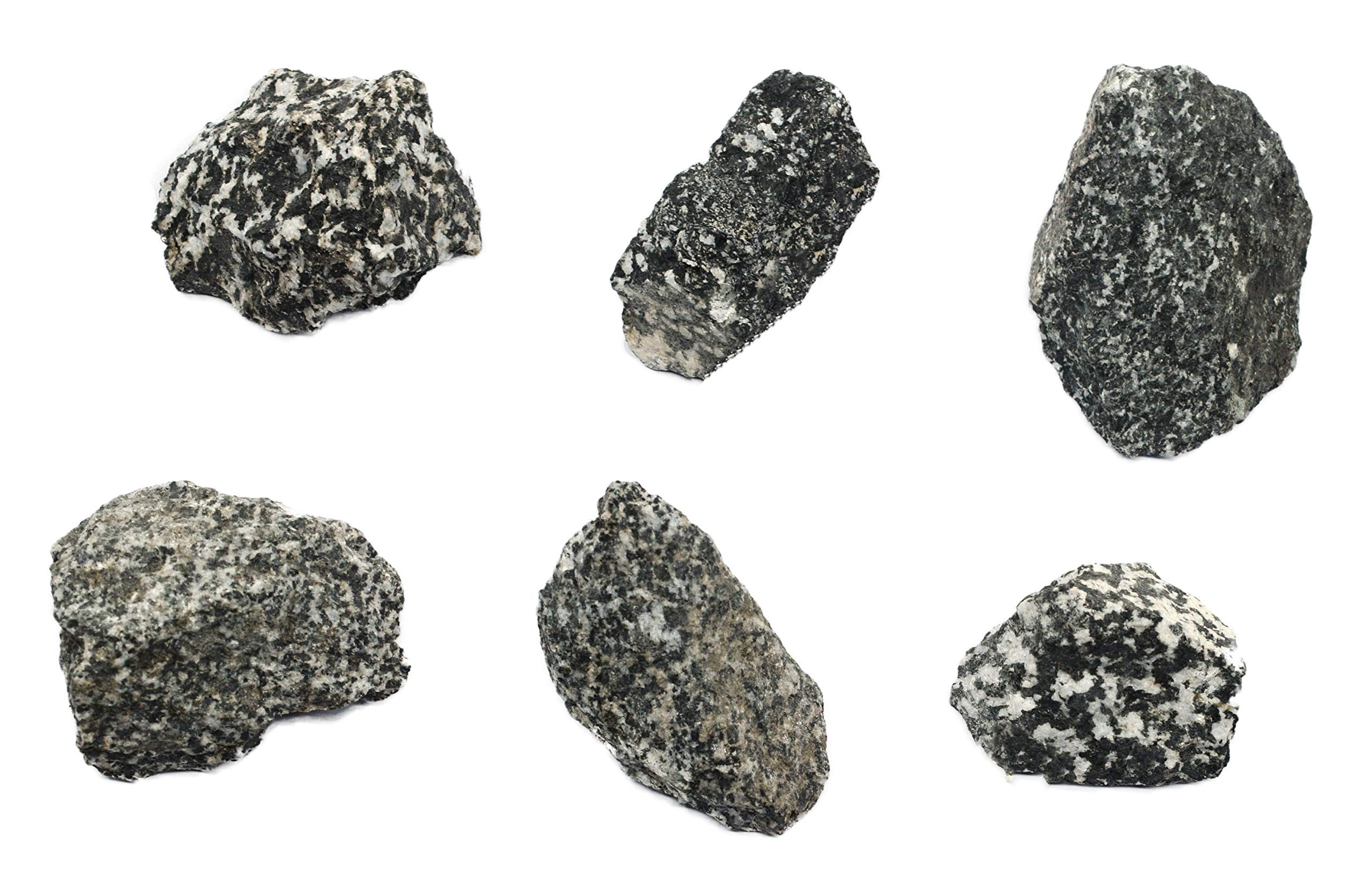 EISCO6PK Raw Diorite, Igneous Rock Specimens - Approx. 1" - Geologist Selected & Hand Processed - Great for Science Classrooms - Class Pack