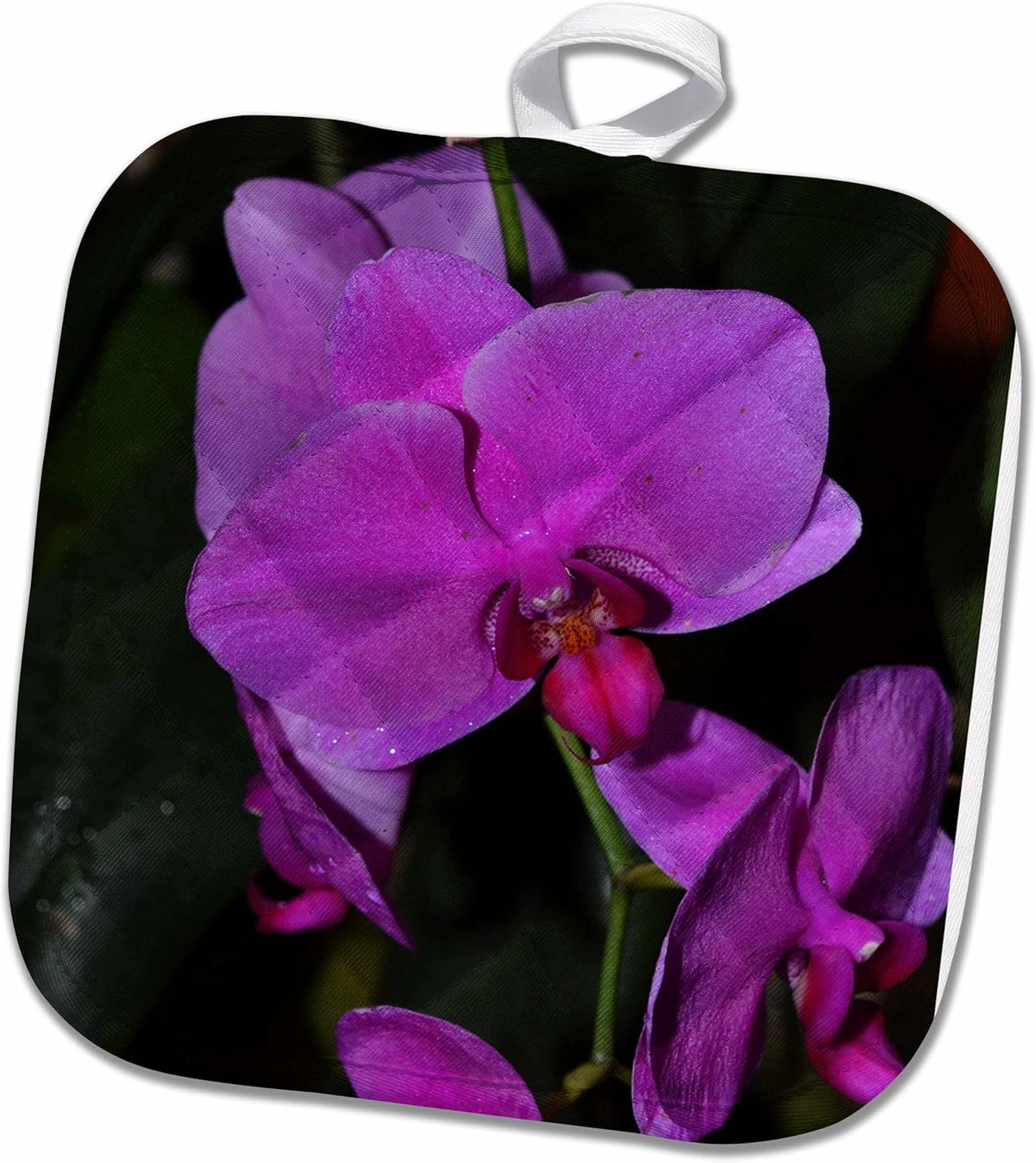 3D Rose Dark Pink Phalaenopsis Orchids Pot Holder, 8" x 8"