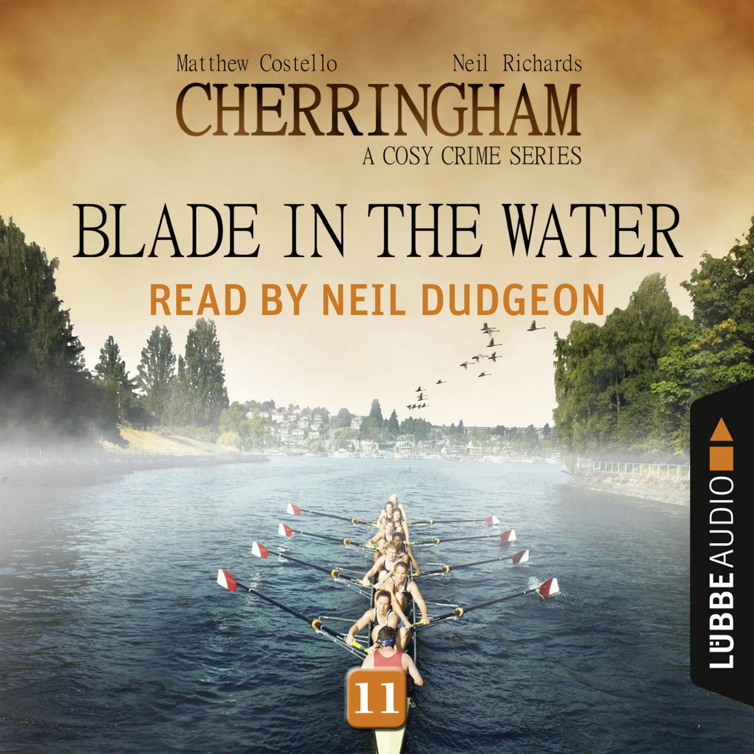Cover art for Blade in the Water