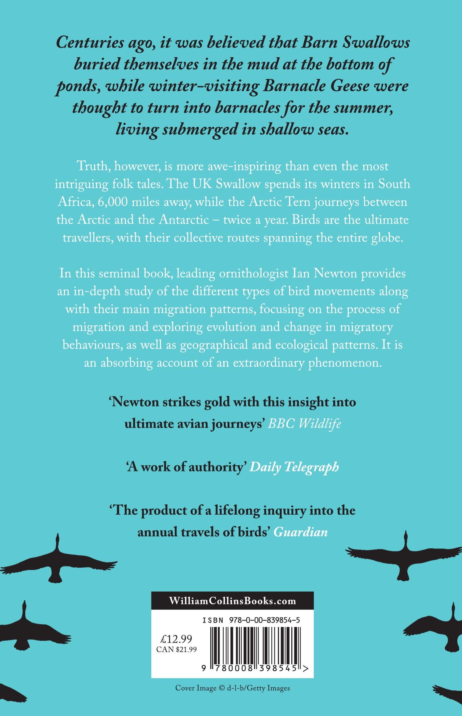 Bird Migration: A Captivating Non-Fiction Account of Global Wildlife Journeys and Seasonal Change
