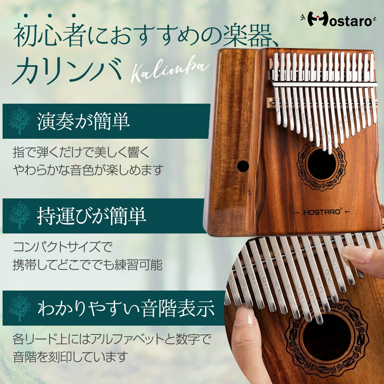 Amazon.co.jp: HOSTARO Kalimba