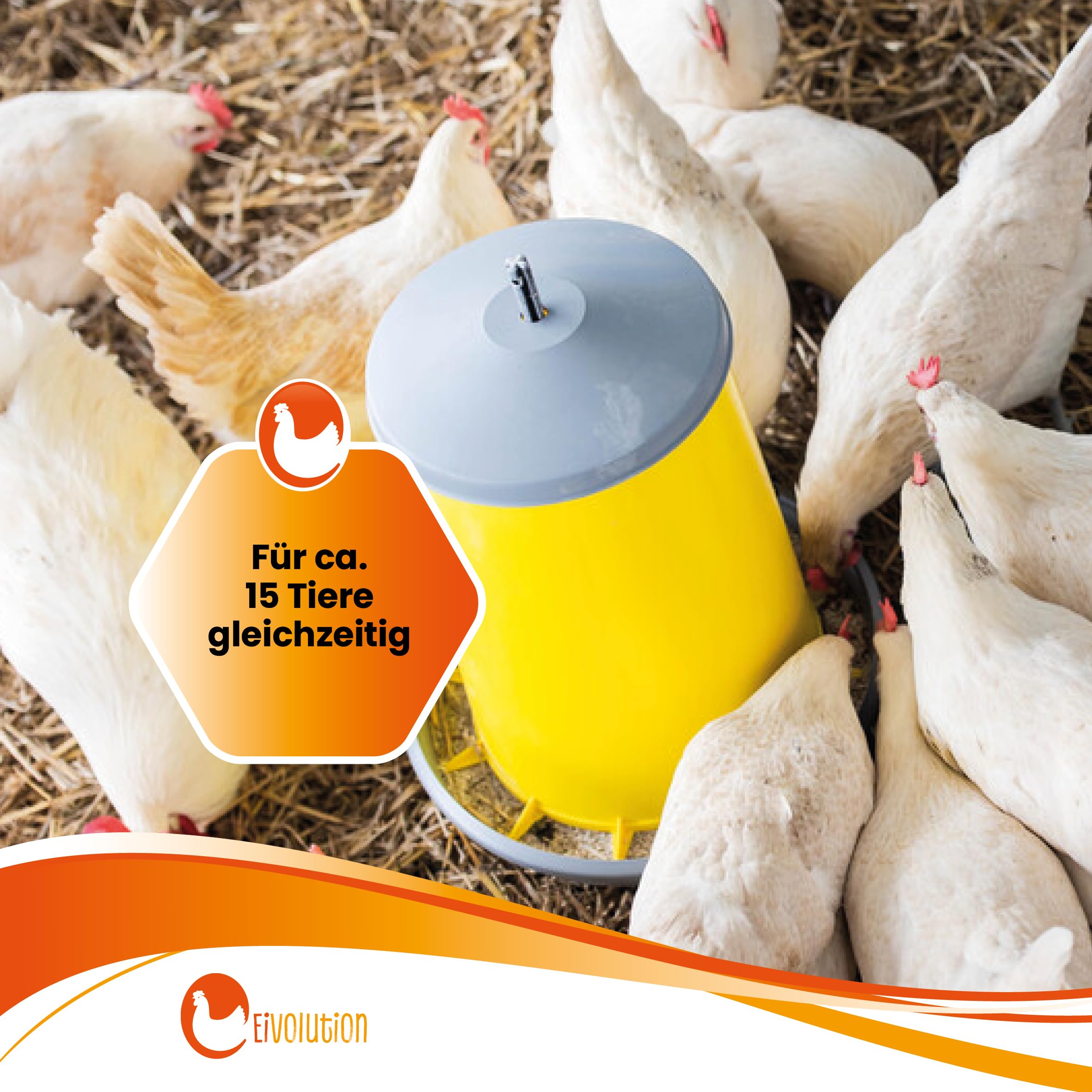 Distributore automatico di mangime per polli, 5 kg, con piedini