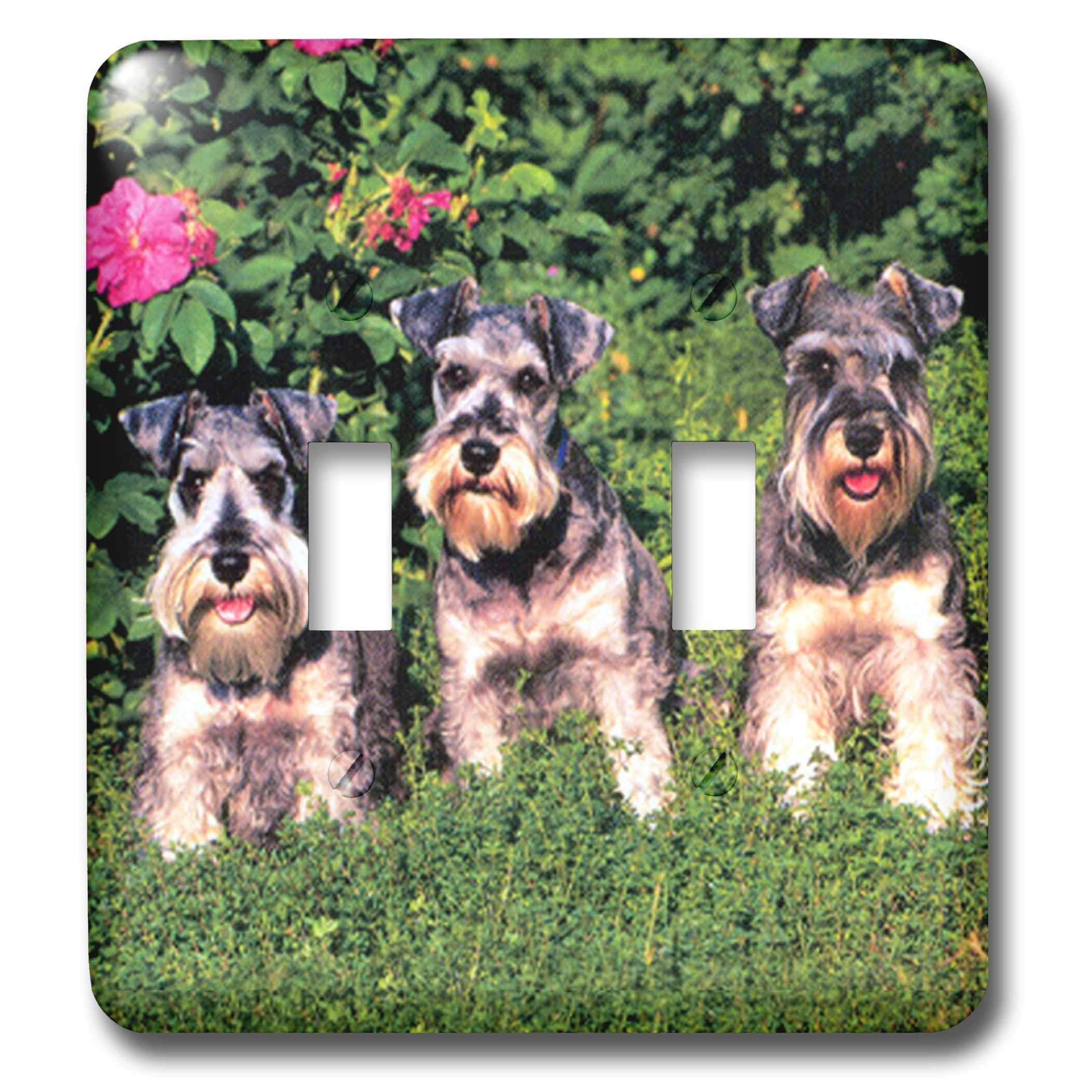 Interrupteur double Schnauzer décoratif pour plaque murale de maison