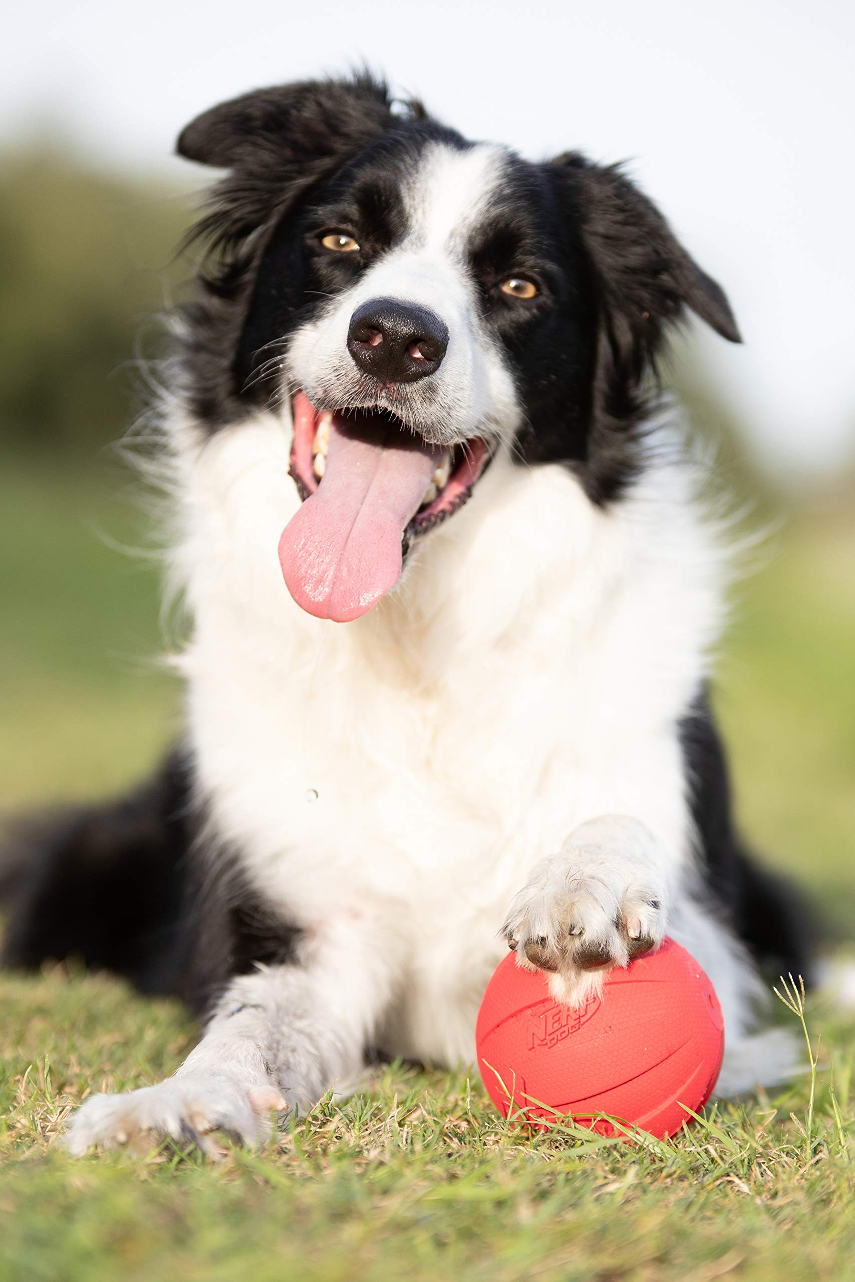 NERF Dog Gummiball Hundespielzeug mit interaktivem Quietscher, leicht, langlebig und wasserabweisend, 10,2 cm Durchmesser für mittelgroße/große Rassen, Einzeleinheit, Rot