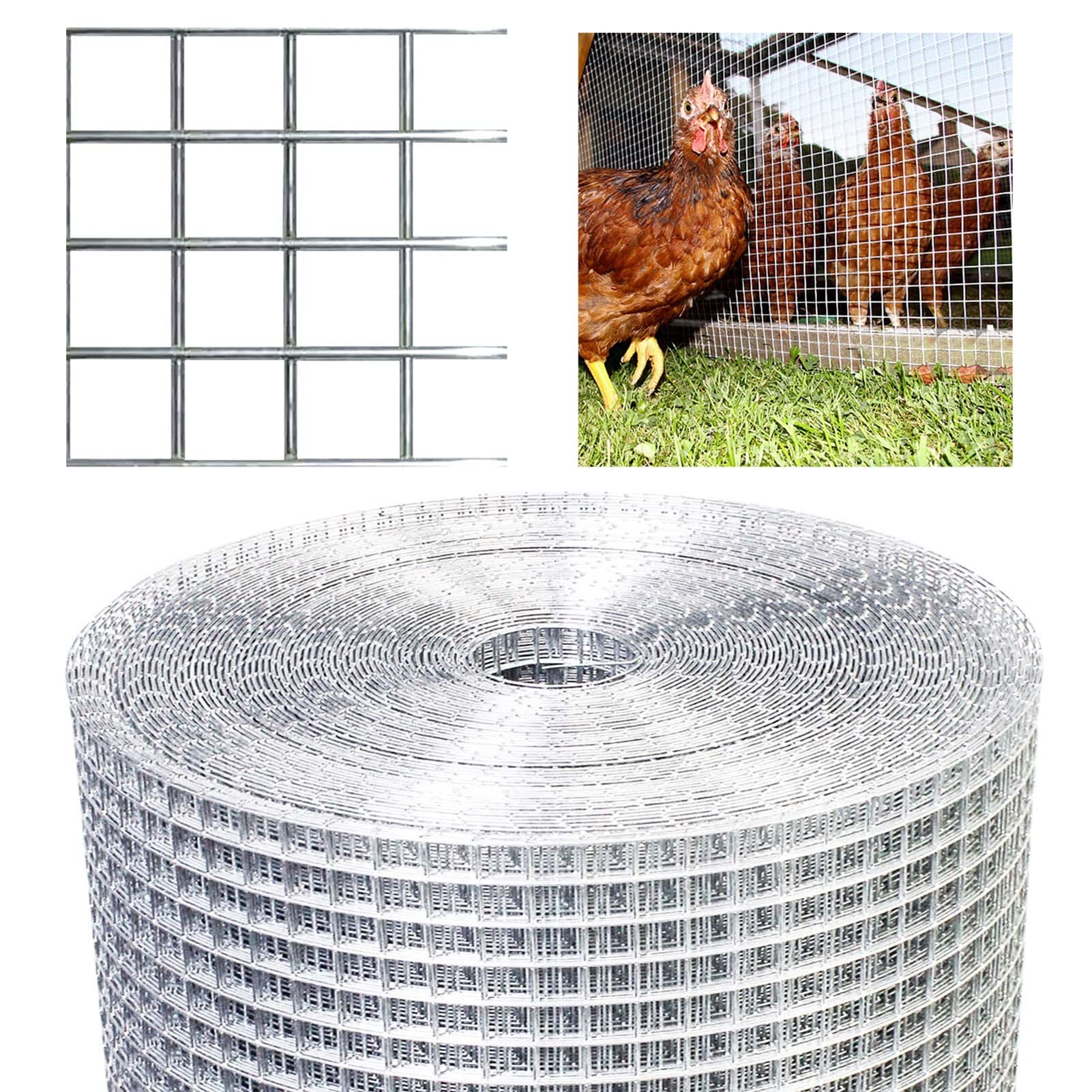 Malla de Alambre soldada de Acero Inoxidable - Rollo de Tela metálica Cuadrada de 1/2" de Alta Resistencia para gallineros, aviarios y cercas - Fácil de Cortar, 1 x 3 m.