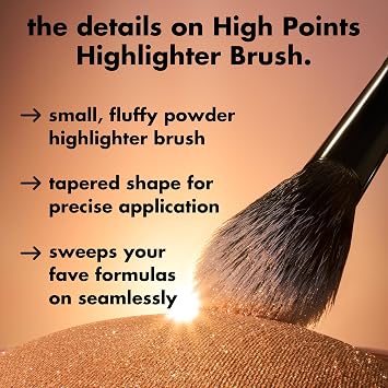 High Point Highlighter Brush