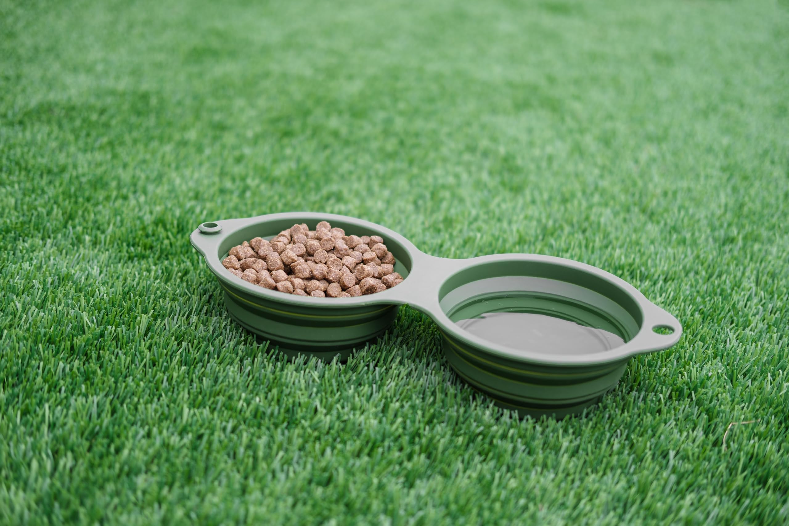 Collapsible Silicone Pet Travel Bowl - 2 in 1 Expandable Pet Feeding and Watering Dish with Carabiner for Walking, Camping, Hiking, Traveling