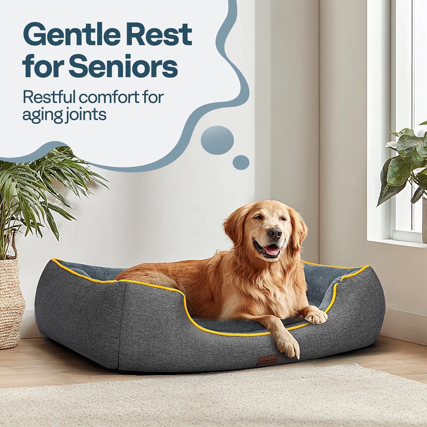 Top Comfort for Your Pup: Review of the XL Orthopedic Dog Bed