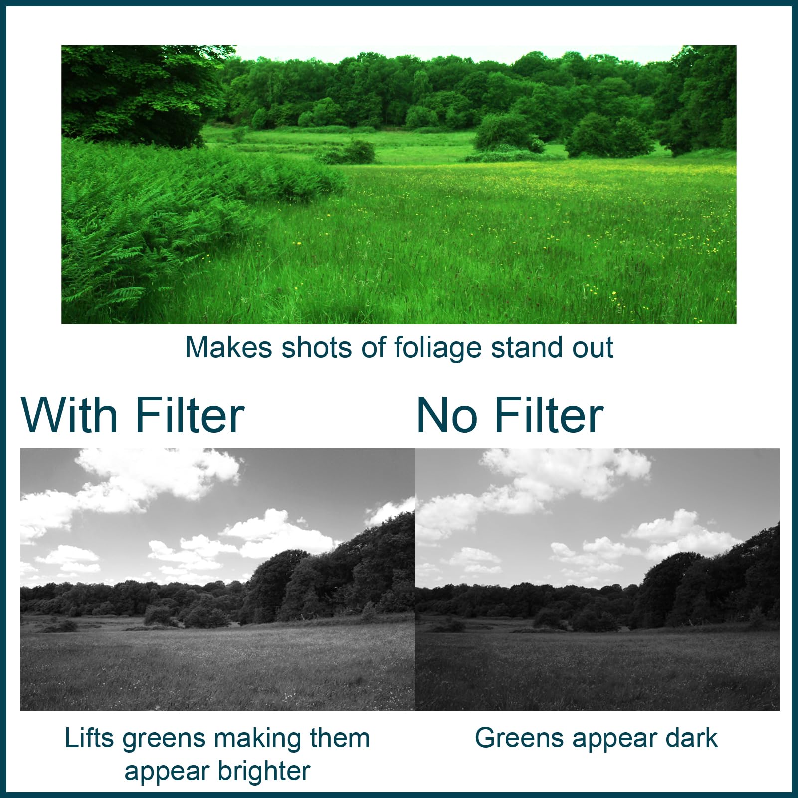 MaD Camera - 67mm Green Colour Correction Filter - Reduces Glare & Enhances Contrast - Premium Camera Lens Filter for DSLRs - Image 4