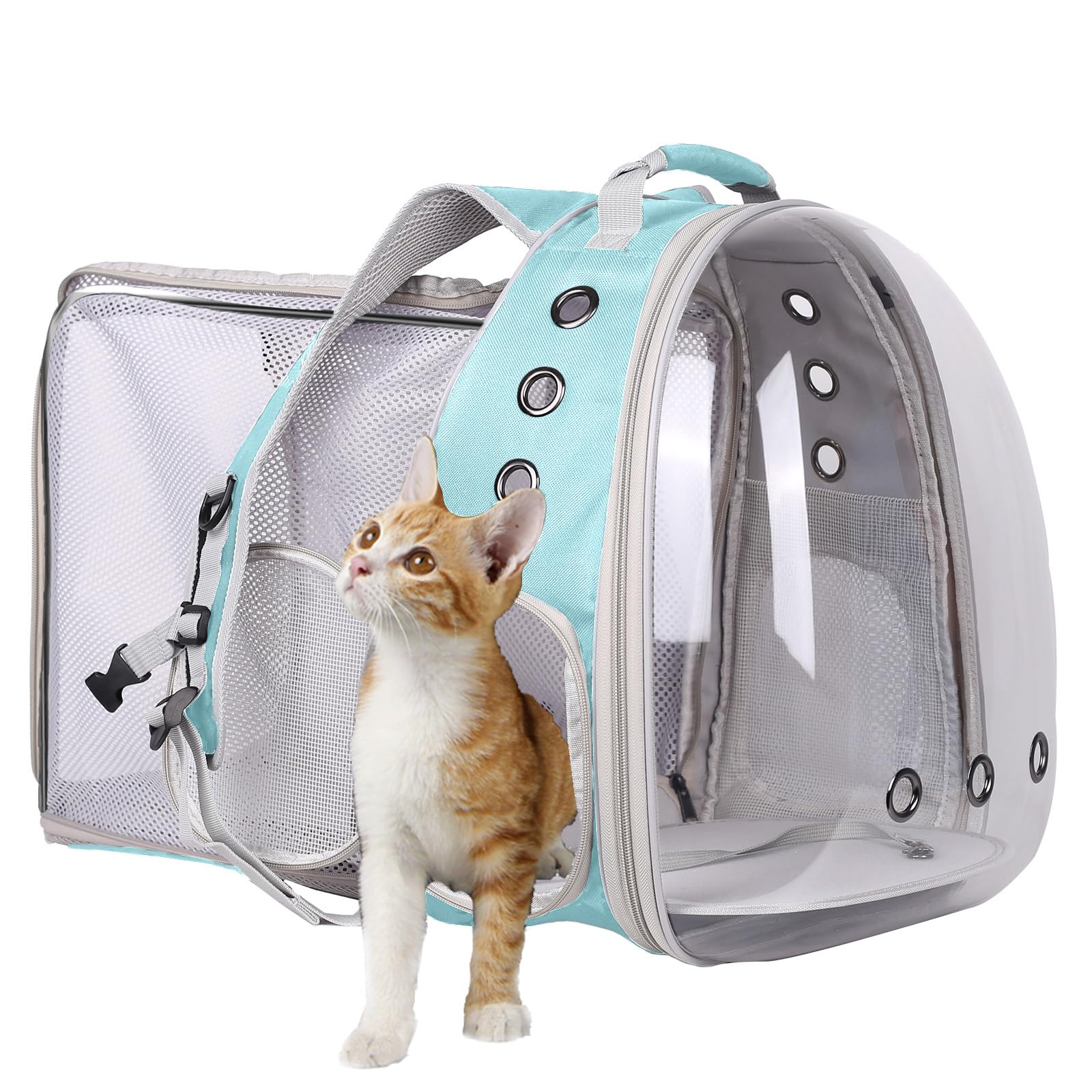 Square Back Extension Pet Backpack Carrier for Cat and Small Puppy up to 12 Pounds, Clear Space Capsule Astronaut Transparent Bubble Window Backpack to Carry and Transport Cat to Vet and Traveling