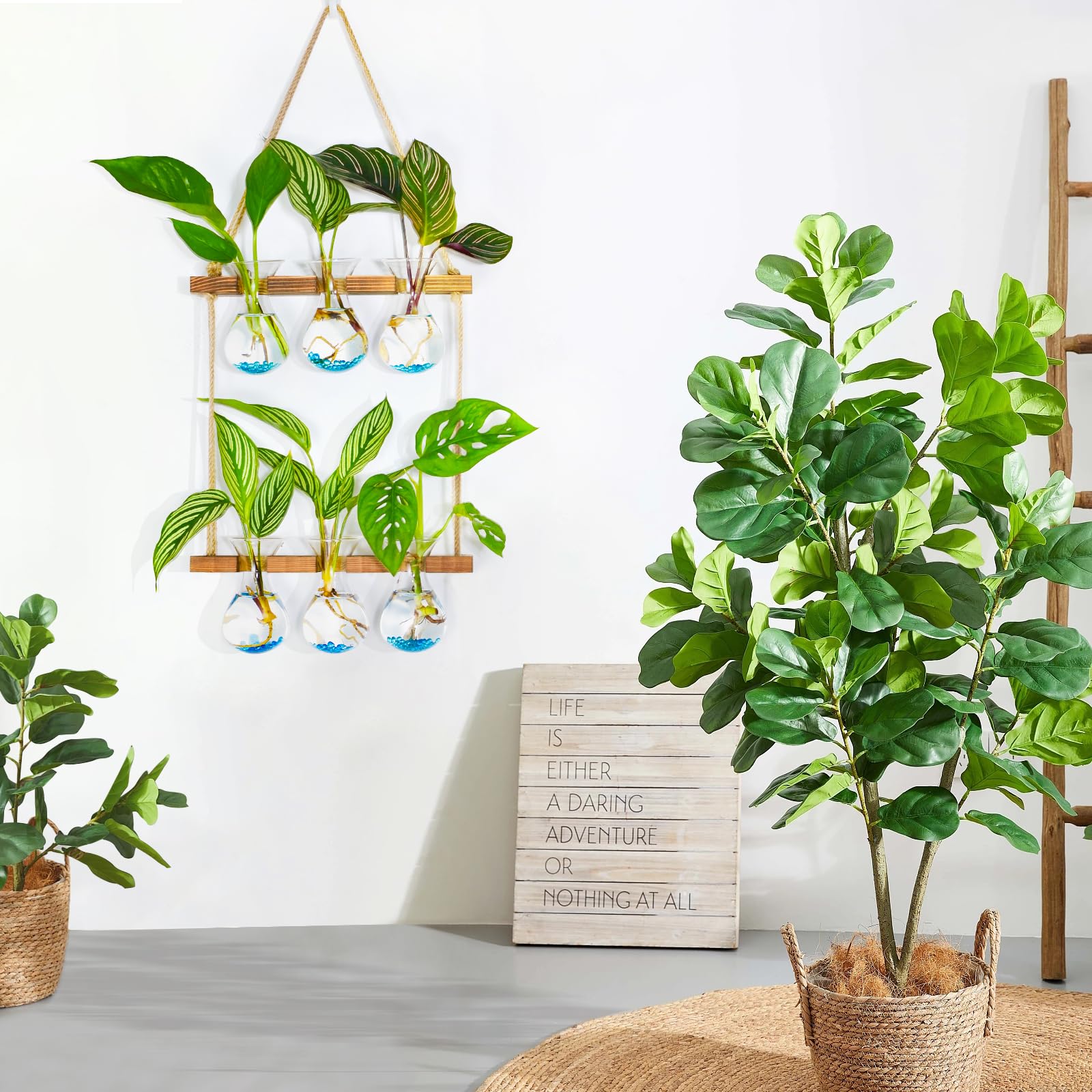 XXXFLOWER Wall Hanging Plant Propagation Station with Wooden Stand 3 Bulb Vase 2 Tiers Glass Planter Stations for Hydroponic Plant Cuttings Home Garden Wedding Decoration - Image 4