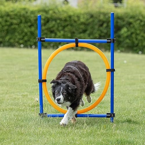 Miniatura 4 de Anillo de agilidad para perros, aro portátil para perro, equipo de carrera de obstáculos, entrenamiento de obediencia 45.25 x 25.5 x 1 pulgadas