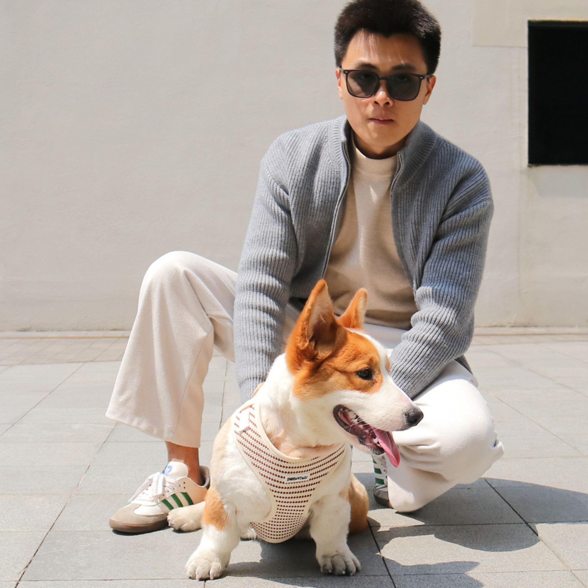 Arnés sin tirones para perros pequeños y medianos, chaleco ajustable con clip lateral, suave, transpirable, arneses de moda para caminar, correr, ir de compras (beige, XXS)