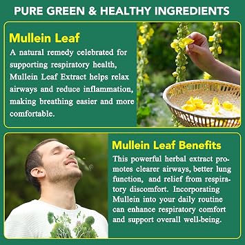 2 Pack Mullein Gummies for Lungs, 2000mg Mullein Leaf Extract for Respiratory & Digestive & Immune Support, Natural Herbal Supplement, Pear Flavor Gummies 60 Gummies