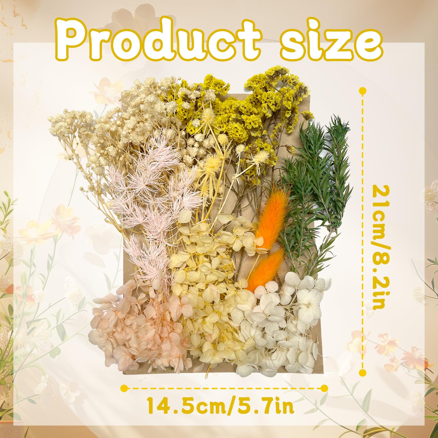Dried & Pressed Flowers - Crafts for DIY Arts Resin, Scrapbooking, Jewelry Making & Floral Decorations (Yellow & White) - Image 2