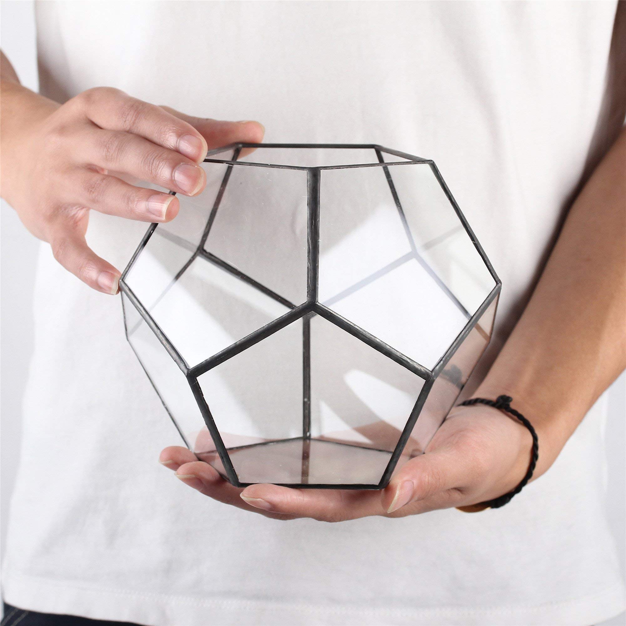 NCYP Noire Géométrique Terrarium en Forme de dodécaèdre et plaques Transparent de Verre pentagonales pour Plante (Pas de Plantes)