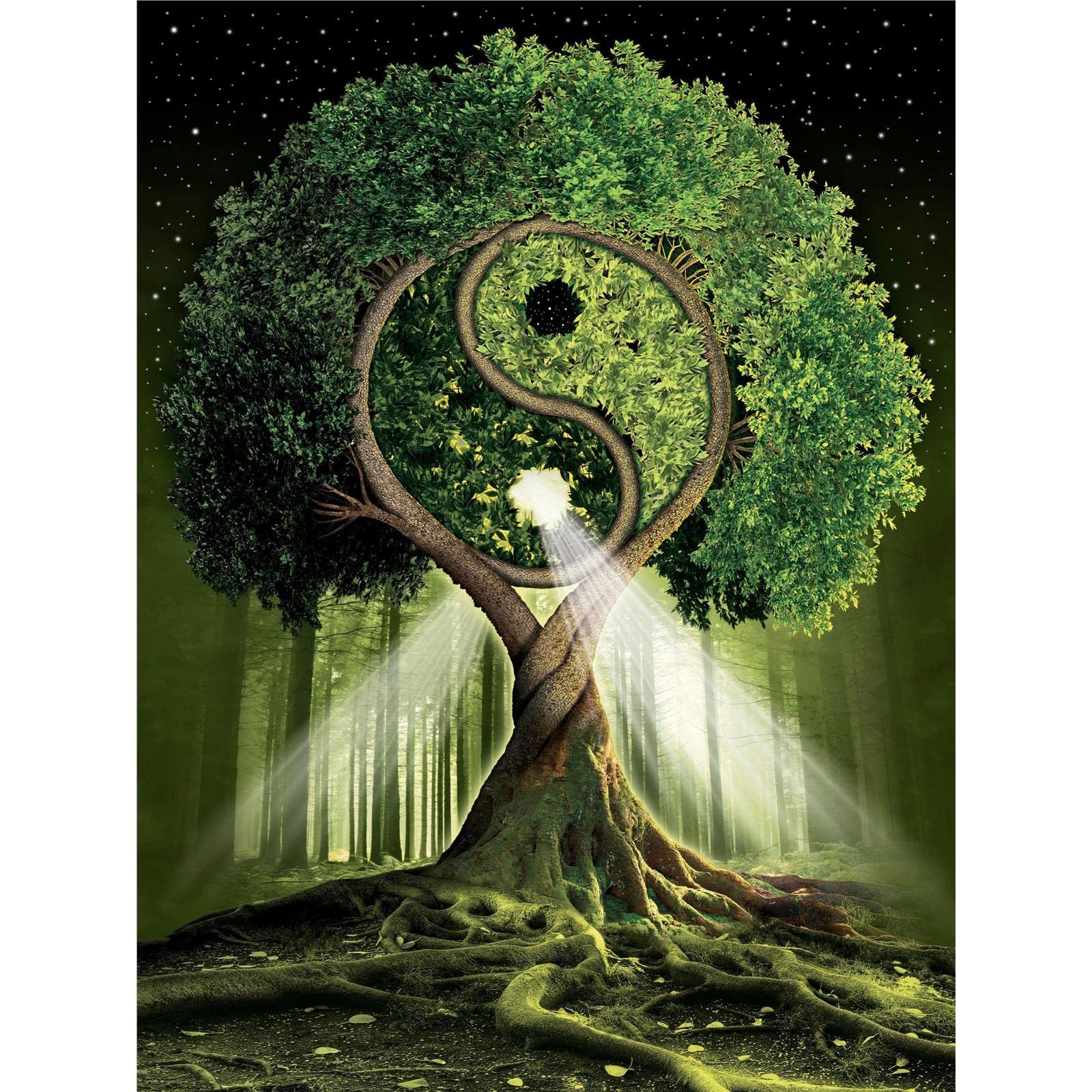 Yscolor White Diamond Embroidery Kit, 5D Diamond Painting Full Drill Art Craft Of Chinese Elements Yin And Yang, 11.8X15.8in/30X40cm, Includes Canvas, Diamonds, Applicator Pen