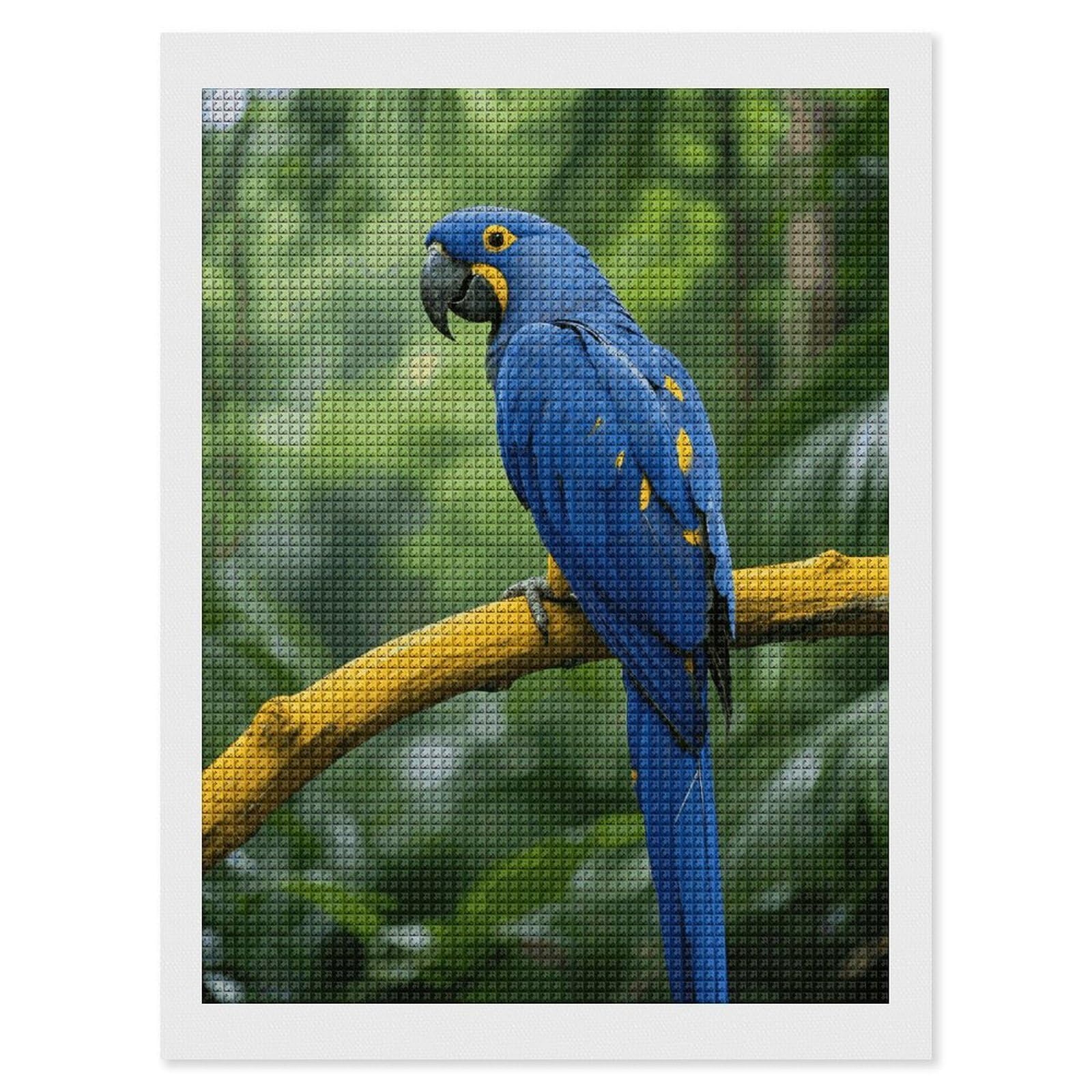 FodPand Bird 5D Diamond Painting Kits for Adults Beginners Full Drill Square Diamond Dots Pictures Gem Art Supplies for Home Wall Room Decoration DIY Craft Set Gift 12x16