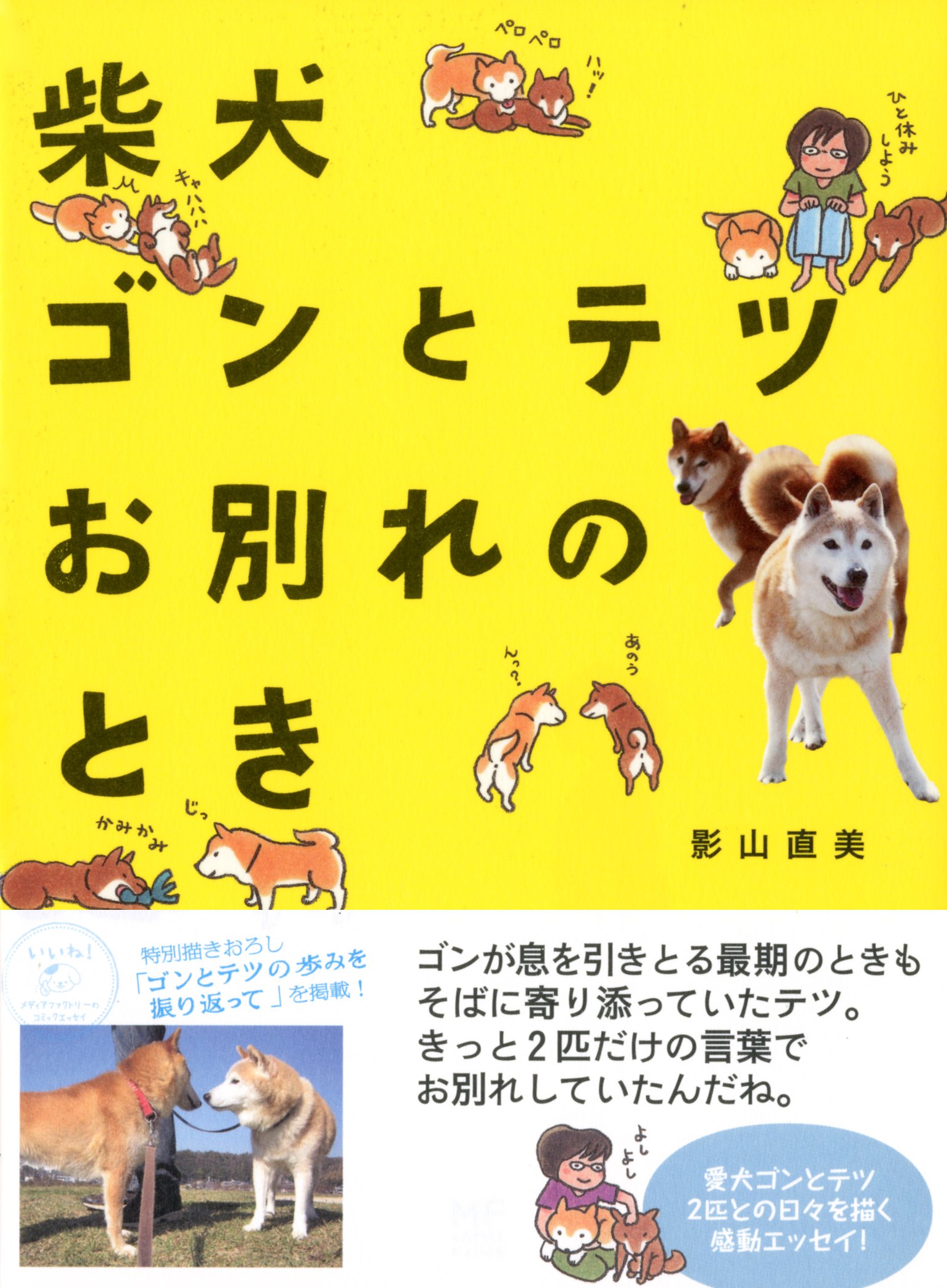 柴犬ゴンとテツお別れのとき メディアファクトリーのコミックエッセイ 影山 直美 本 通販 Amazon 柴犬ゴンとテツお別れのとき メディアファクトリーのコミックエッセイ 影山 直美 本 通販 Amazon