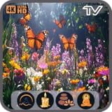 バタフライガーデンのスクリーンセーバー：穏やかな自然の風景と落ち着いた雰囲気