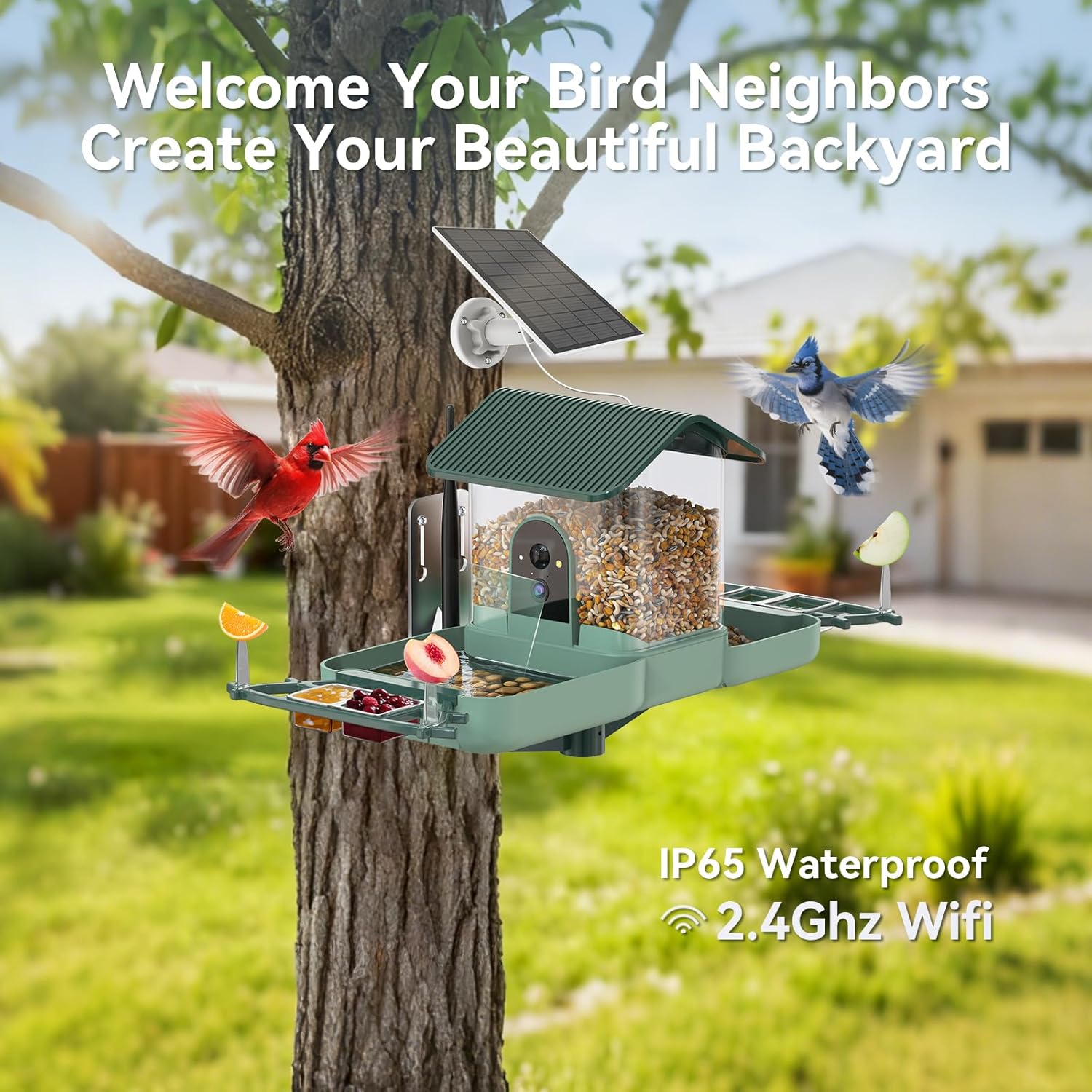 Dual-Lens Bird Feeder with Camera & Bird Bath Combo, Watch Birds Eat & Bathe with WiFi 2K HD Video, Auto Record, AI Recognition, APP Alerts, Solar Powered, for Backyard Garden Porch Fence Decor - Image 5