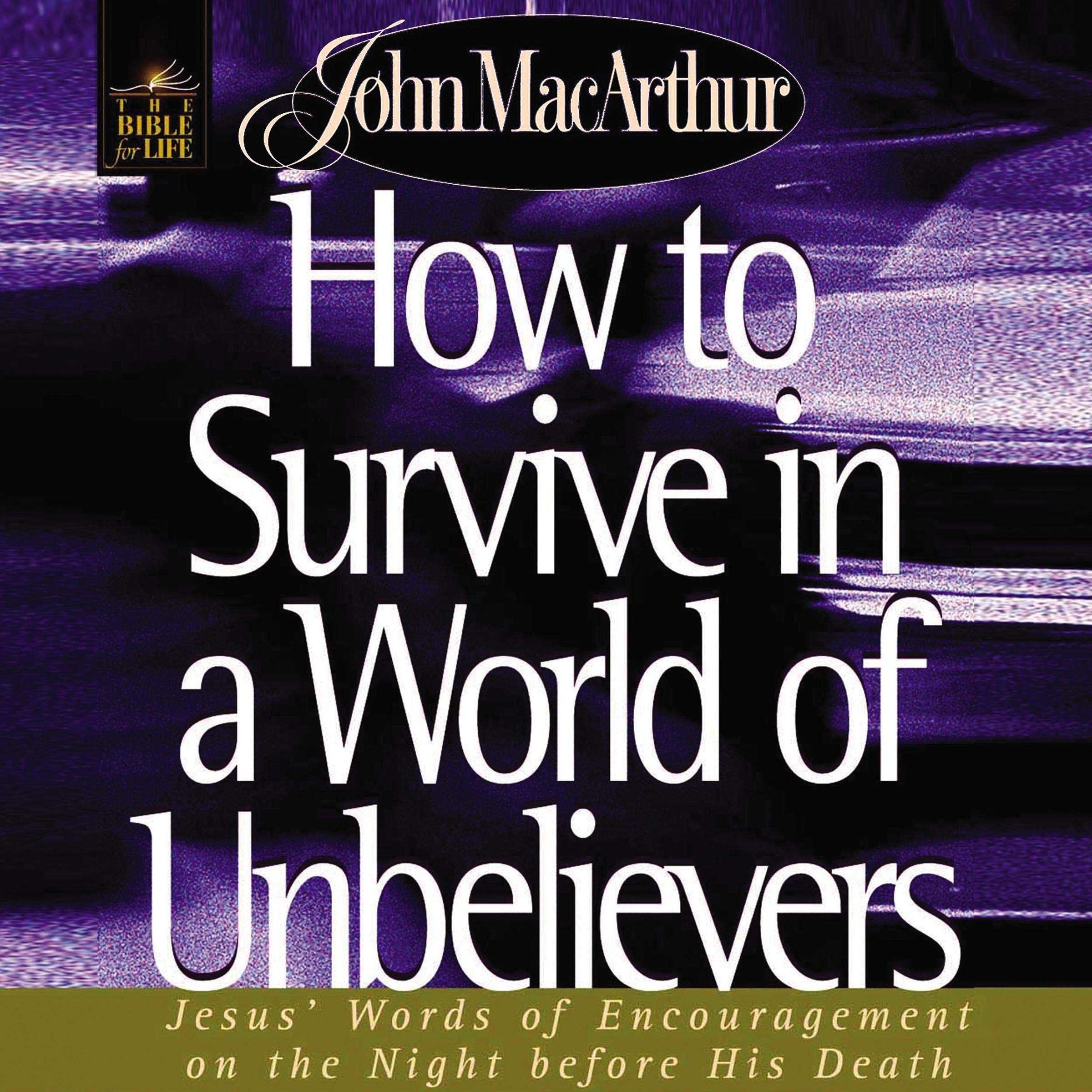 Cover art for How to Survive in a World of Unbelievers