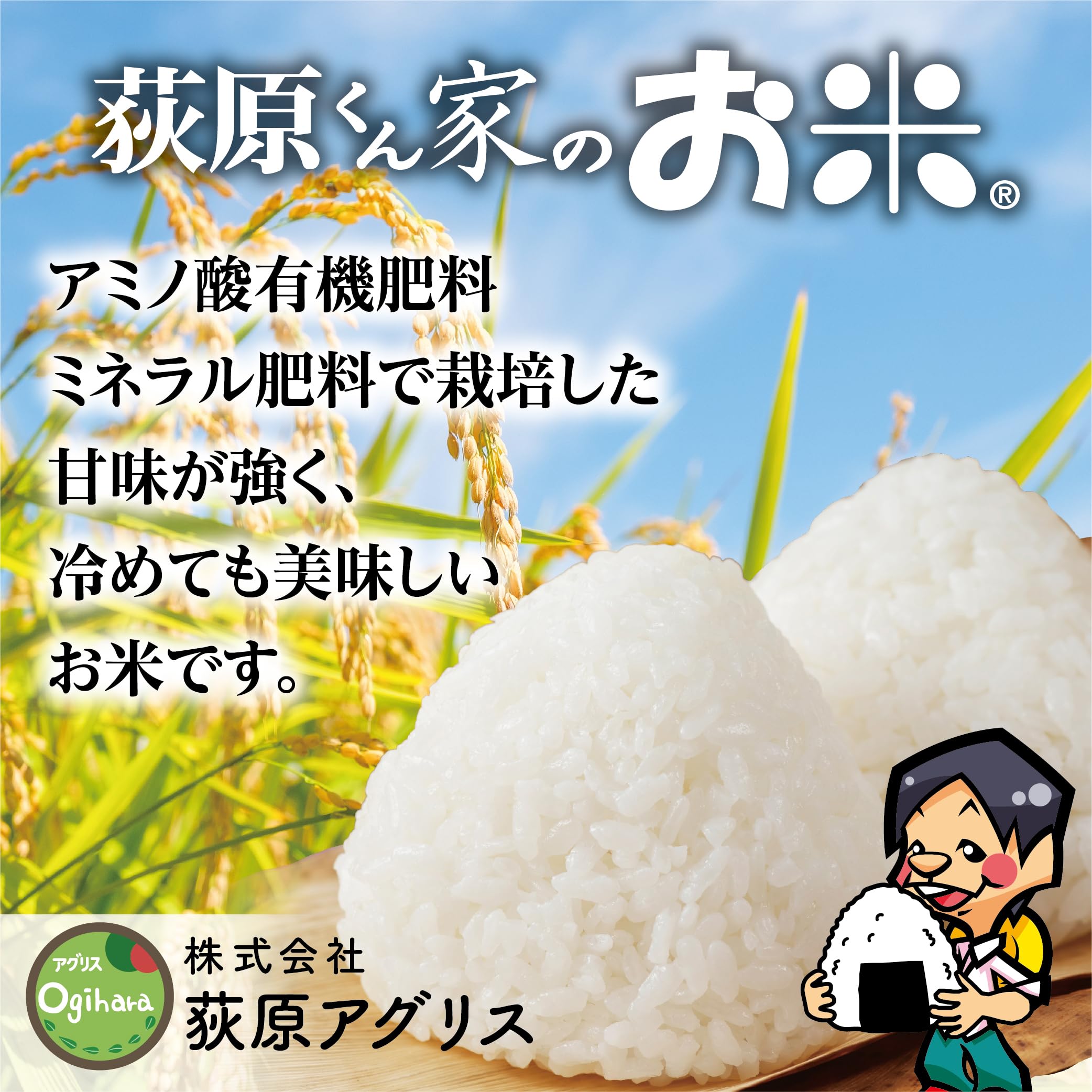 Amazon.co.jp: 荻原くん家のお米 (白米) 令和7年産 長野県産コシヒカリ 