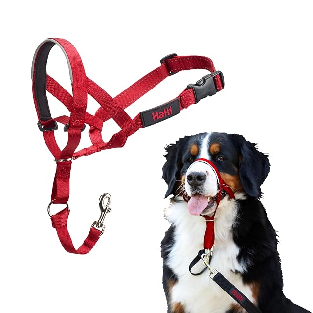 Collar Ronzal HALTI - Para evitar que tu perro tire de la correa, Ajustable y Ligero, con banda de nariz…