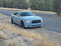 Review Image by David Hall