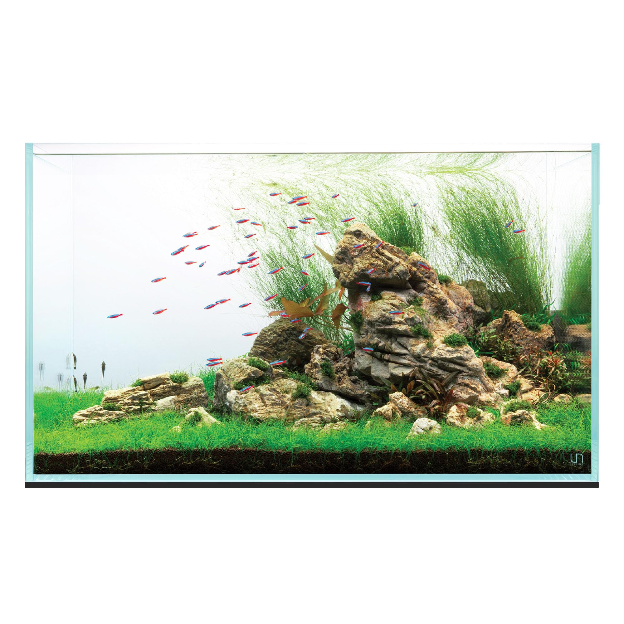 UNS Ultra Clear Rimless Tank - 74.5GAL | 282.2L - 35.43x22.04x22.04 | 90x56x56 CM, 10mm Glass Thickness, Leveling Mat Included - Low Iron, High Clarity Fish Tank w/ 45° Mitered Edge - [90U]