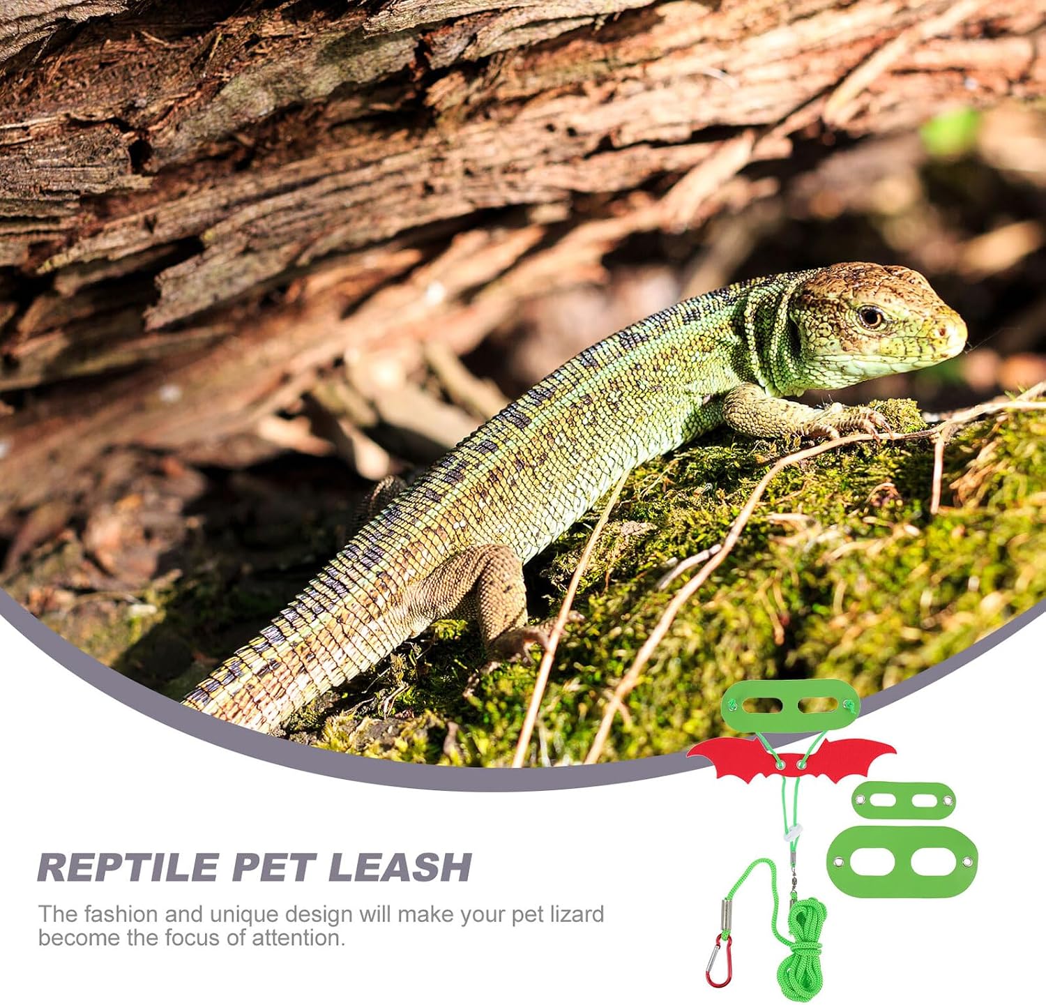 WOONEKY Gecko Christmas Leash and Harness Set Wing Traction Rope for Reptiles Bearded Dragon Outdoor Walking Pet Supplies