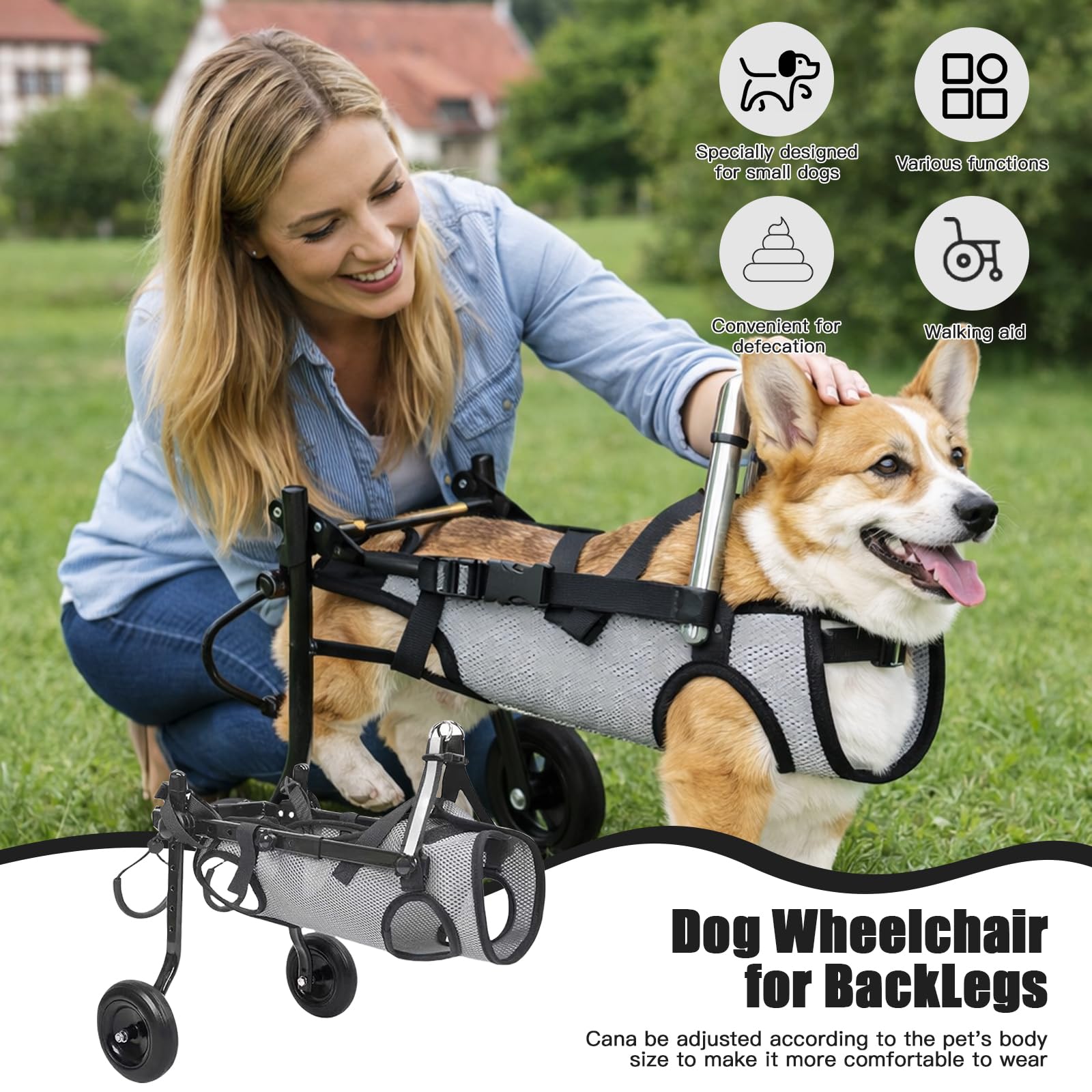 Silla De Ruedas Para Patas Traseras, Carrito De Movilidad Ajustable Con Malla Transpirable Y Hebillas De Seguridad, Marco De Aluminio Ligero Para Perros Y Gatos Pequeños, Ideal Para Parálisis Y