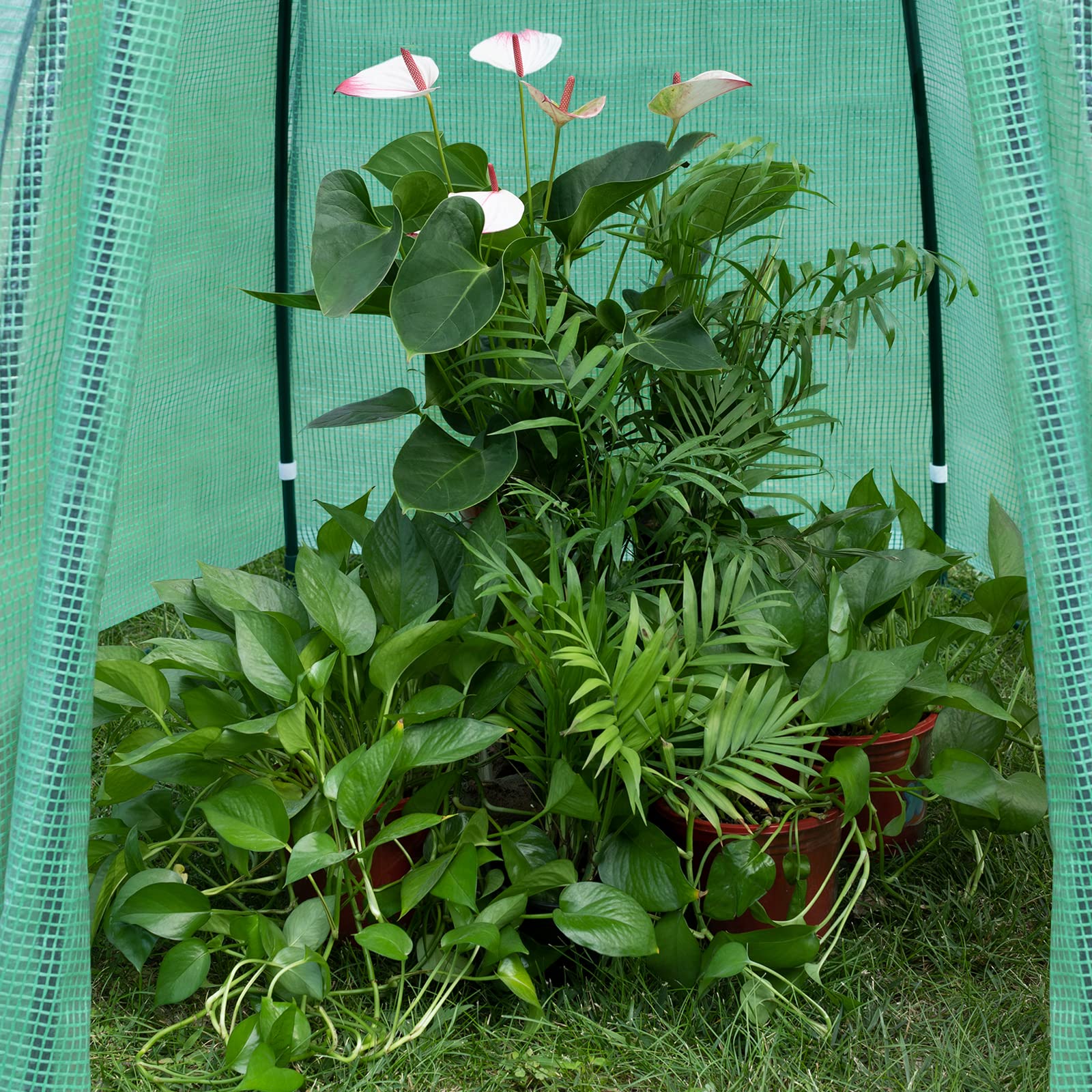 WOLTU Invernadero de Jardín Invernadero para Cultivo Plantas Semilla 160x160x180cm Estructura Metal Estable de PE de 130g/m Impermeable Rresistente al Viento y Rayos UV Verde
