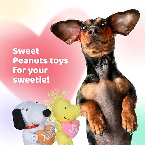 Miniatura 9 de Peanuts for Pets Juguetes de peluche con temática de amor para perros  Peanuts Snoopy  Woodstock Juguetes para perros  Juguete para perros Snoopy