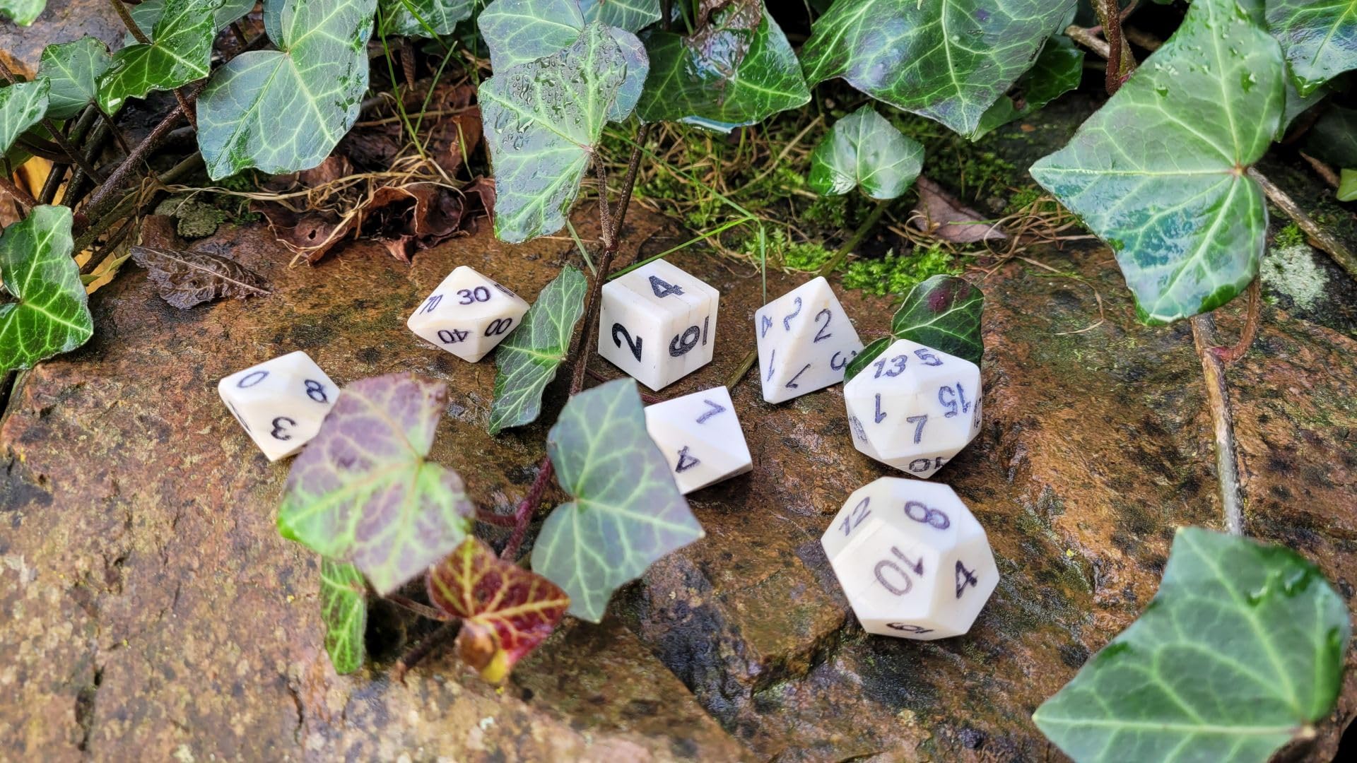 Juego de rol medieval de 7 piezas de hueso hecho a mano, con funda de piel negra, dados W4-W100, números grabados, producto natural (hueso)